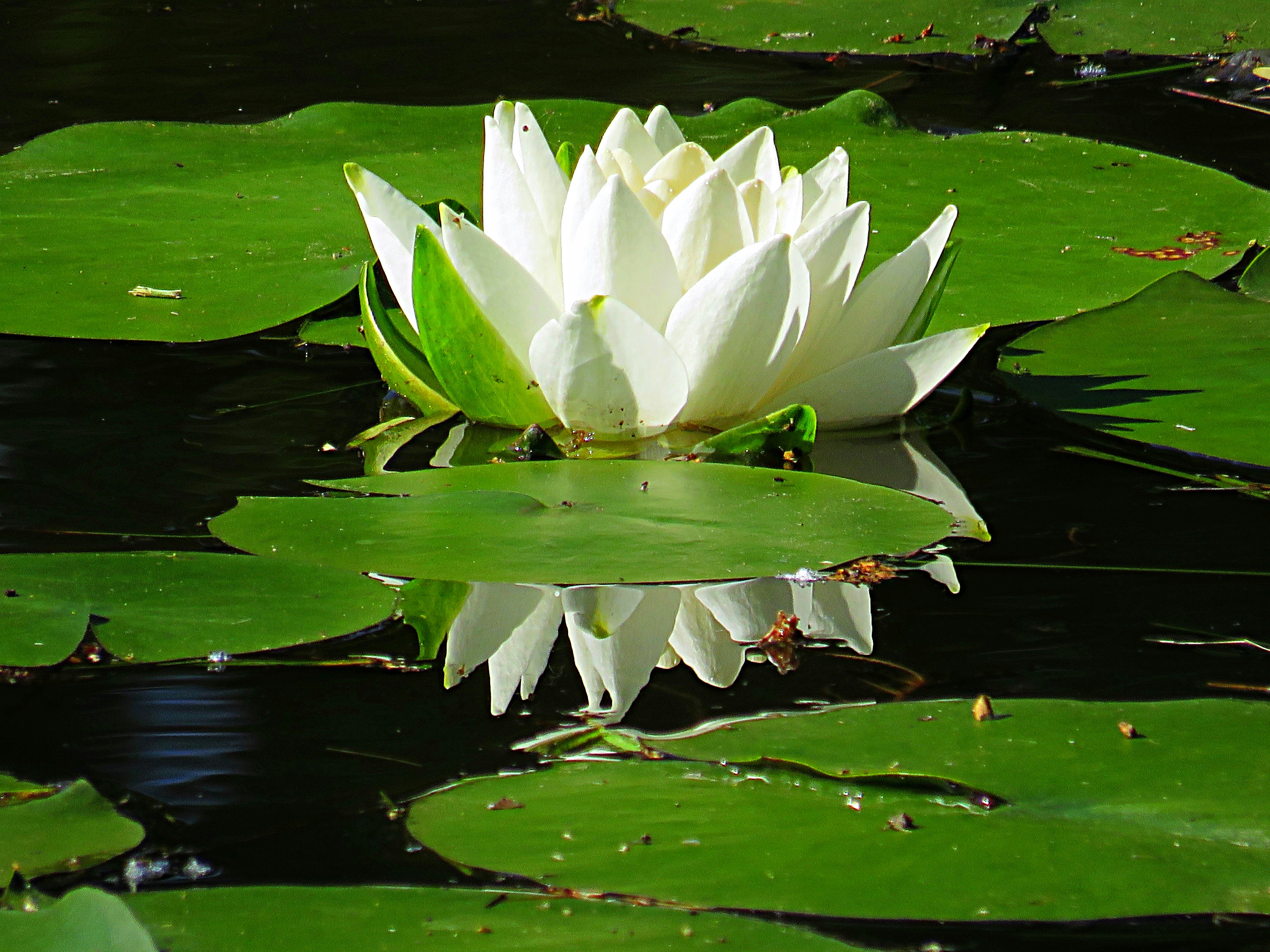 Photo by staceyhfc10