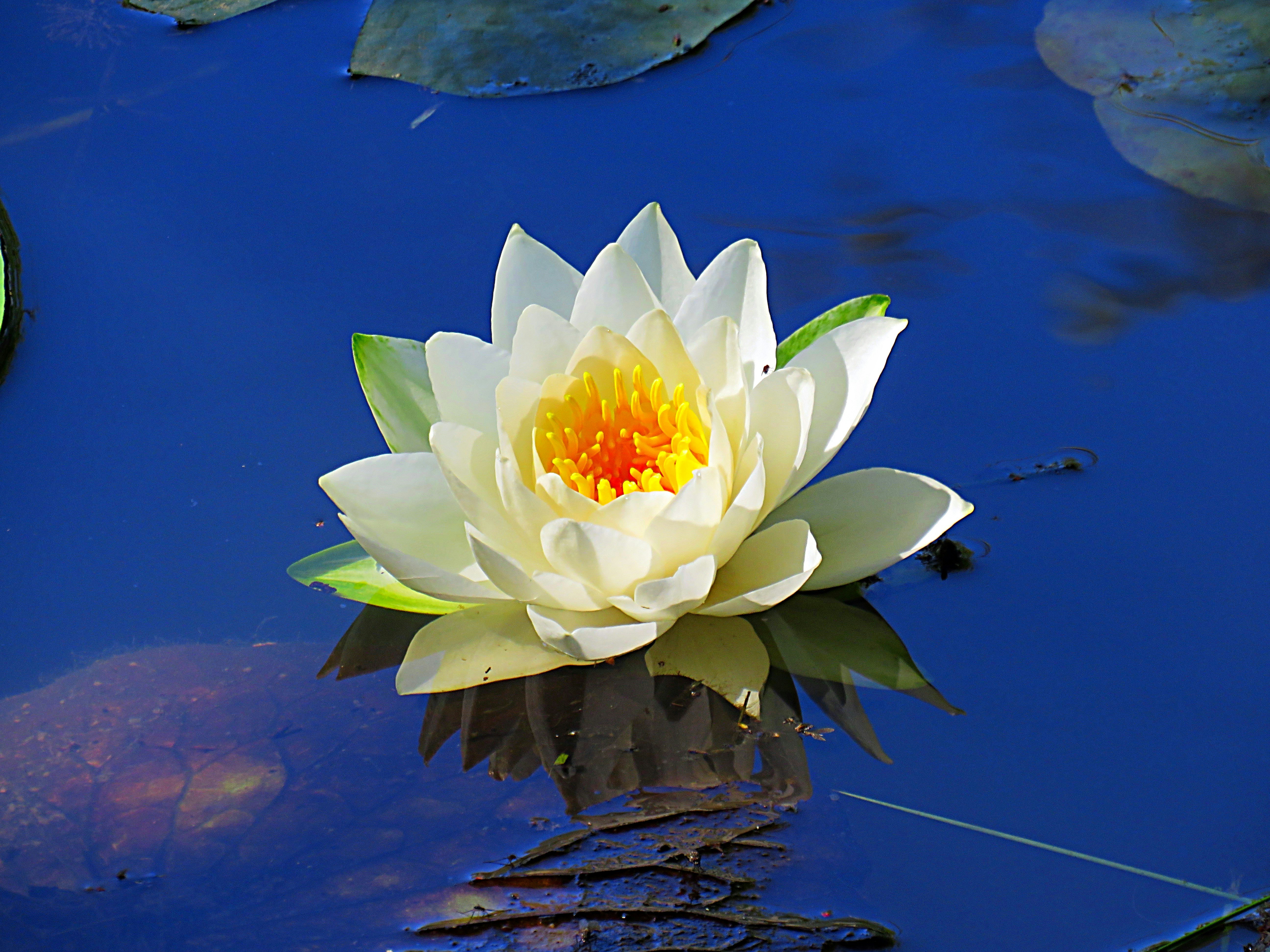 Photo by staceyhfc10