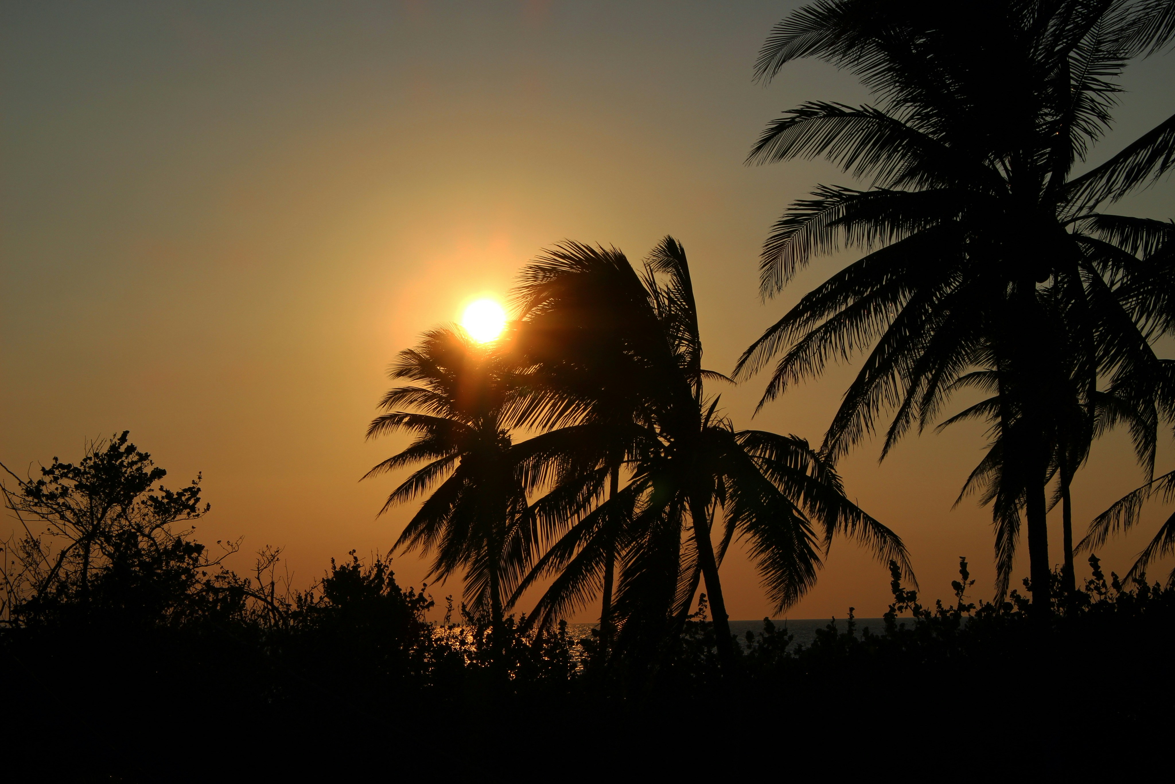 Photo by katharina_er