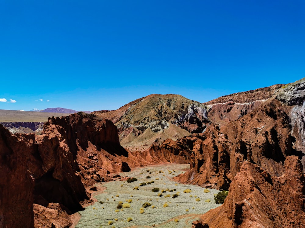 a canyon with a river running through it