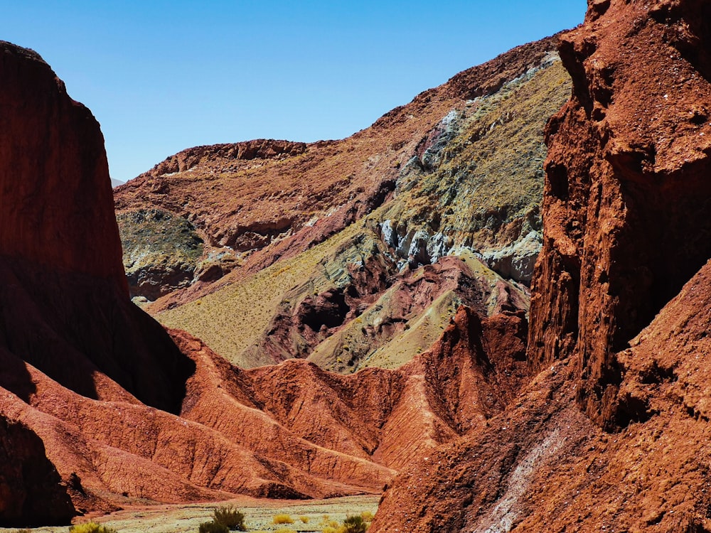 a canyon with a river running through it