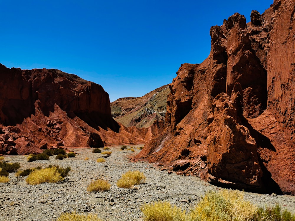 背の高い赤い崖がいくつかある砂漠の風景