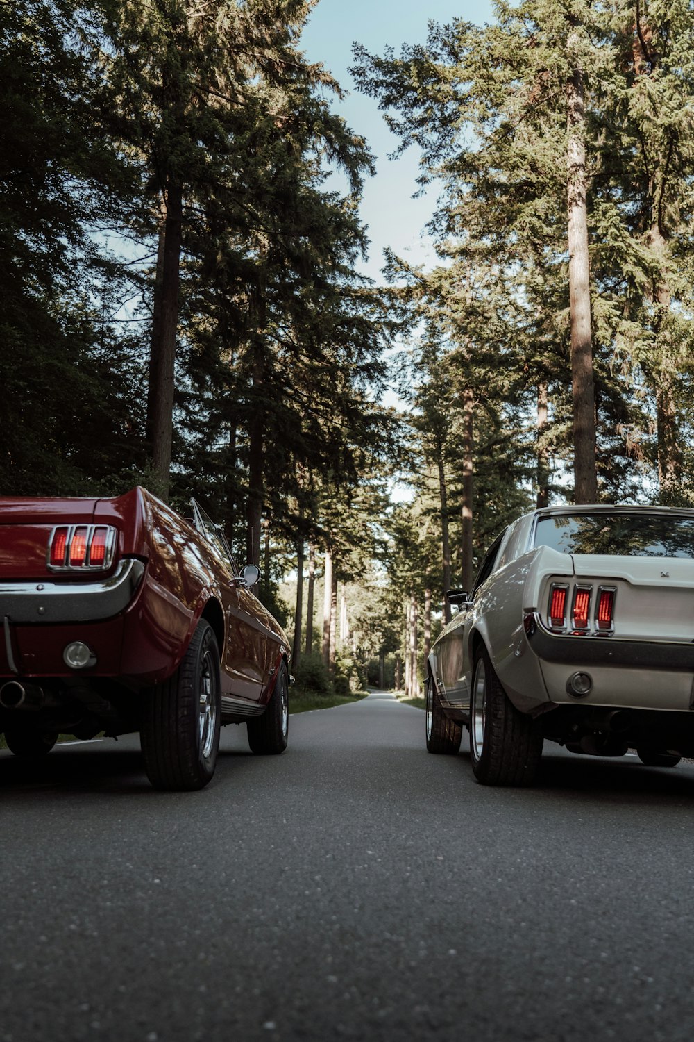 a couple of cars parked on the side of a road with trees on either side of it