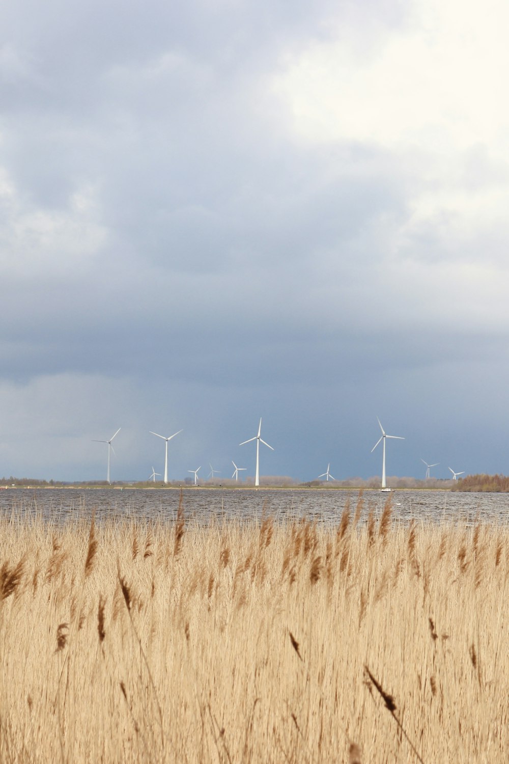 a group of wind turbines