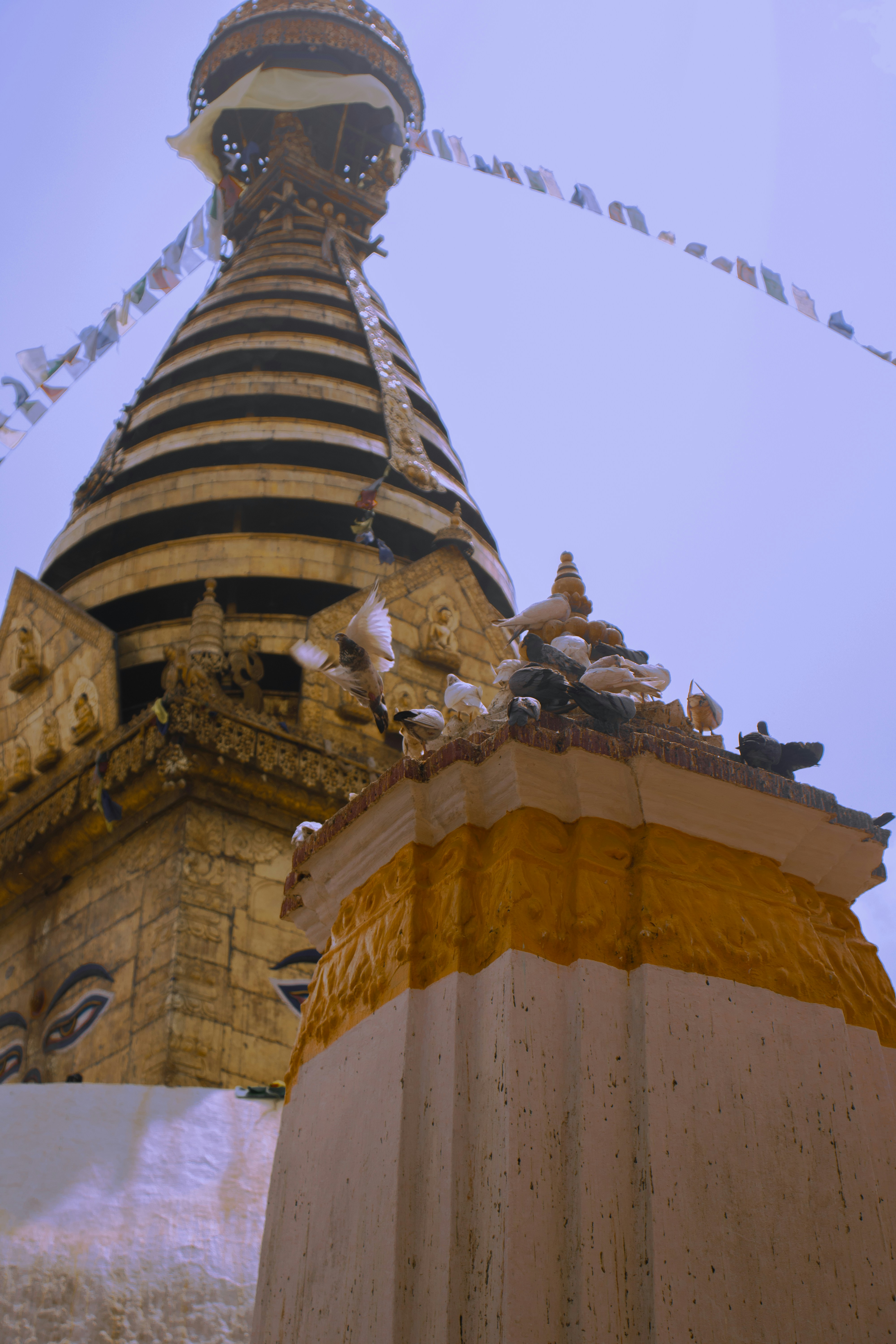 Photo by prabesh_lama