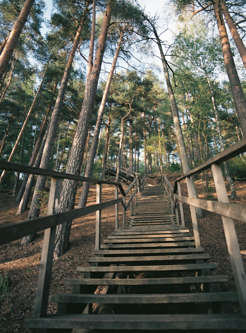 Una scala di legno in una foresta