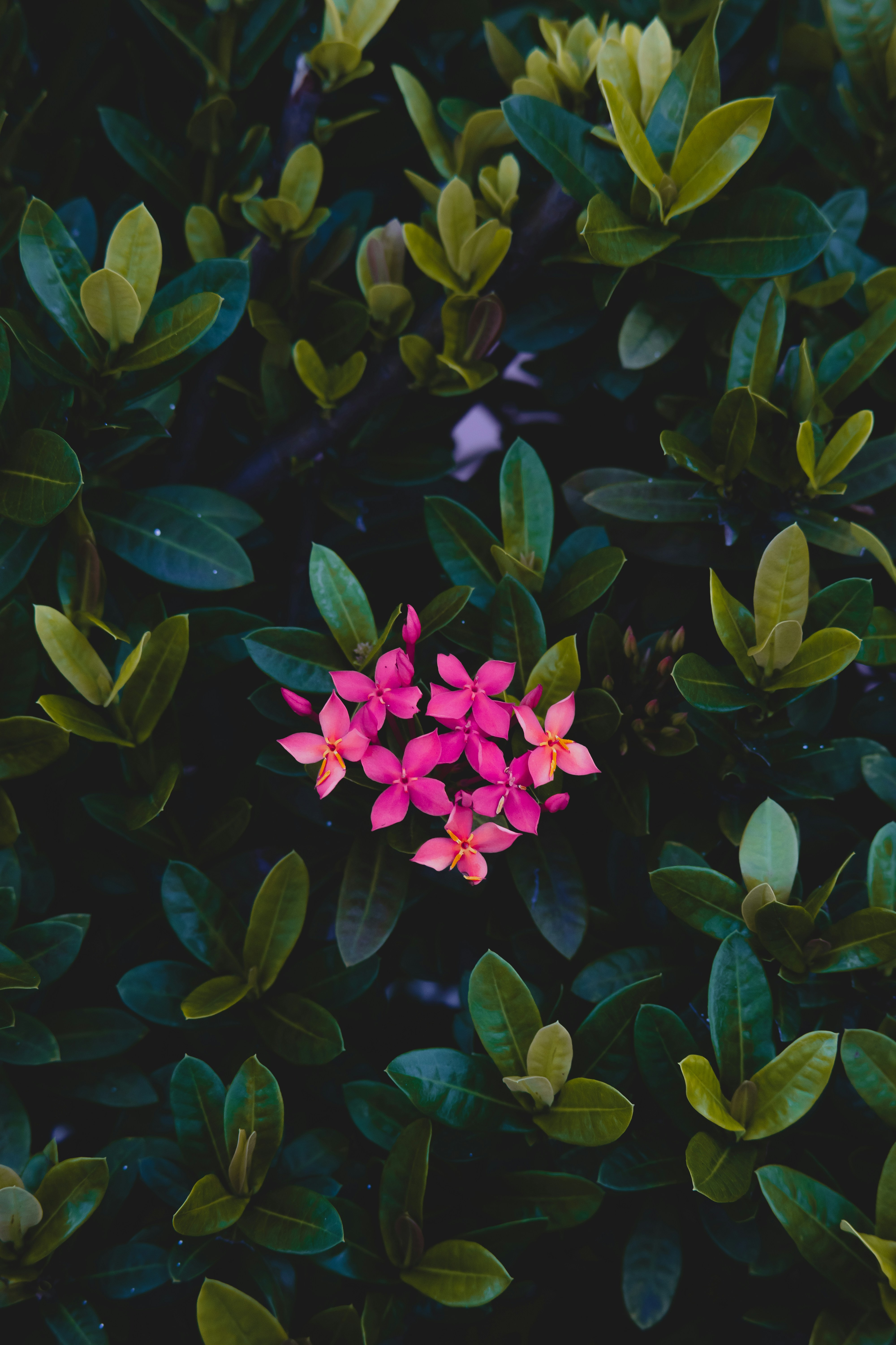 Photo by roadahead_2223