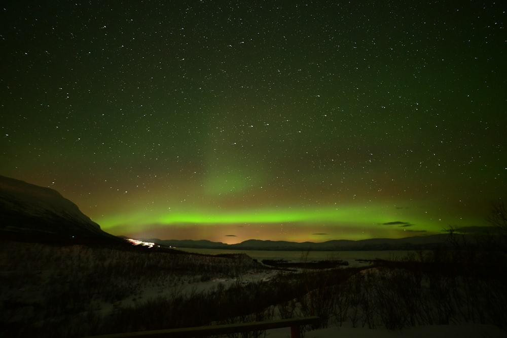 a green and purple sky with stars