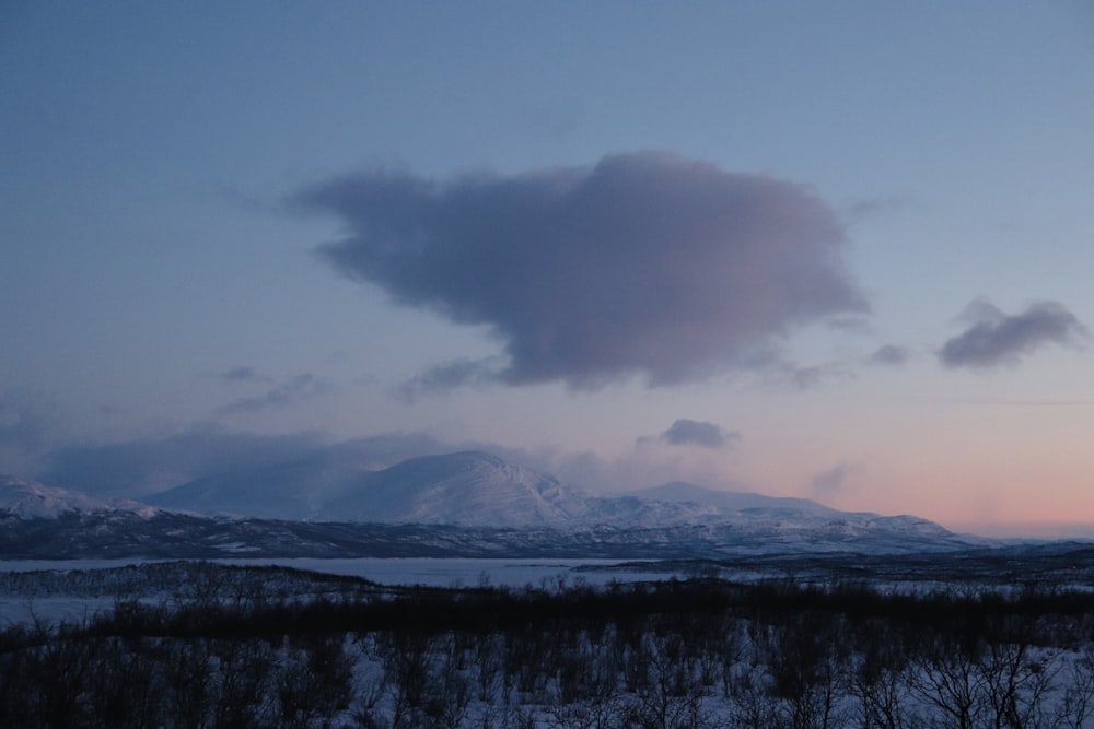 a snowy landscape with mountains in the background