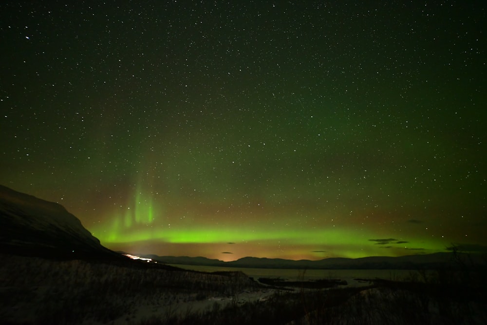 a green and purple sky with stars