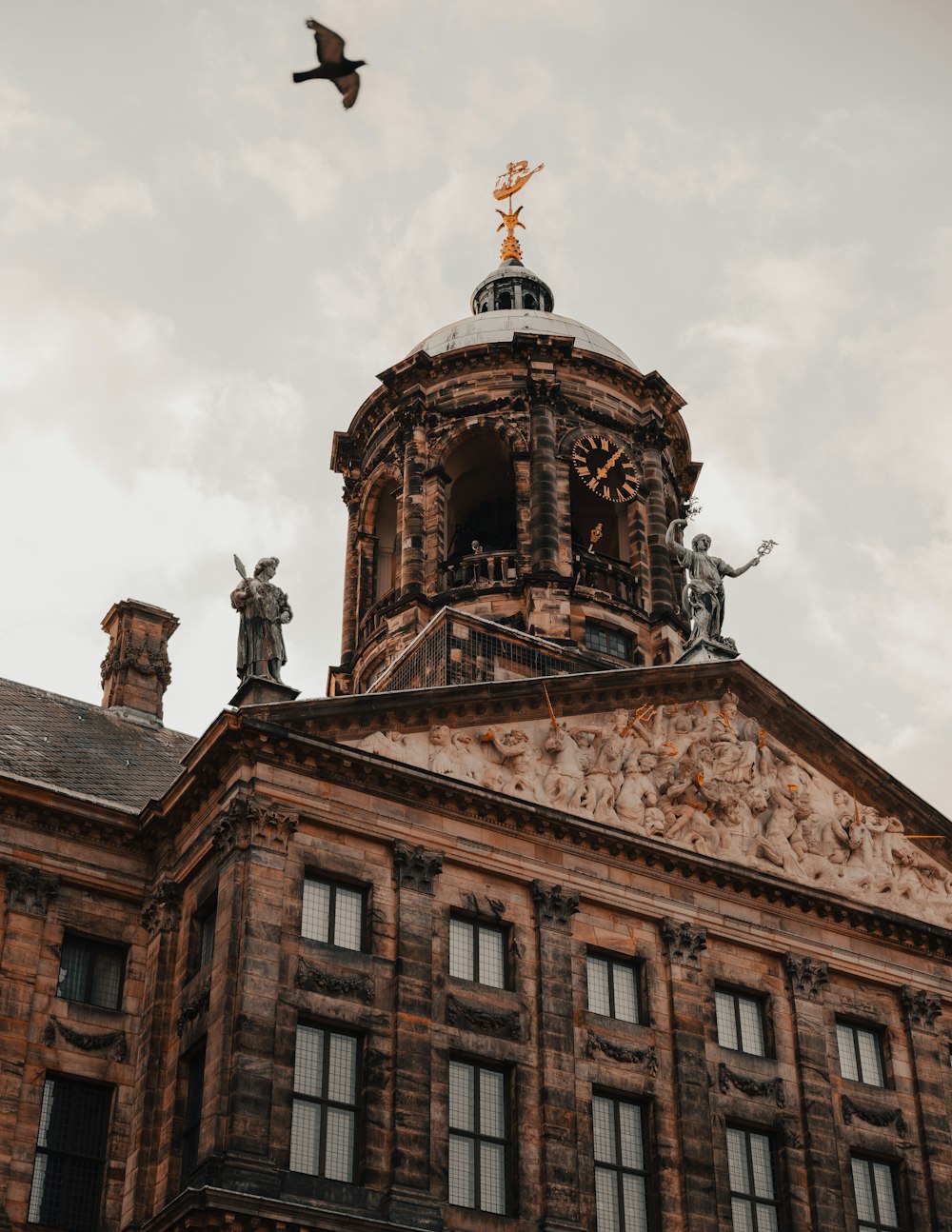 a bird flying over a building