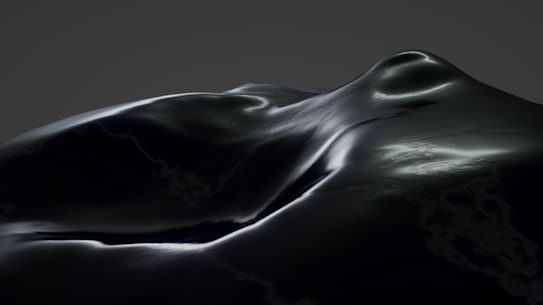 A dark, smooth, and glossy surface with subtle contours and curves, illuminated by soft, reflective lighting. The image has a somewhat abstract quality, resembling a landscape or a sleek object.