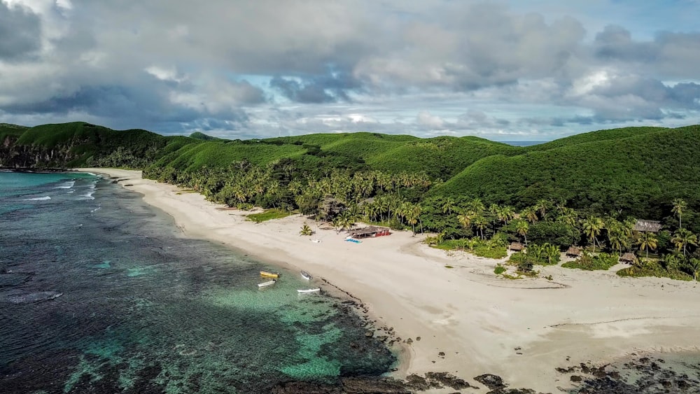 a beach with a hill in the background