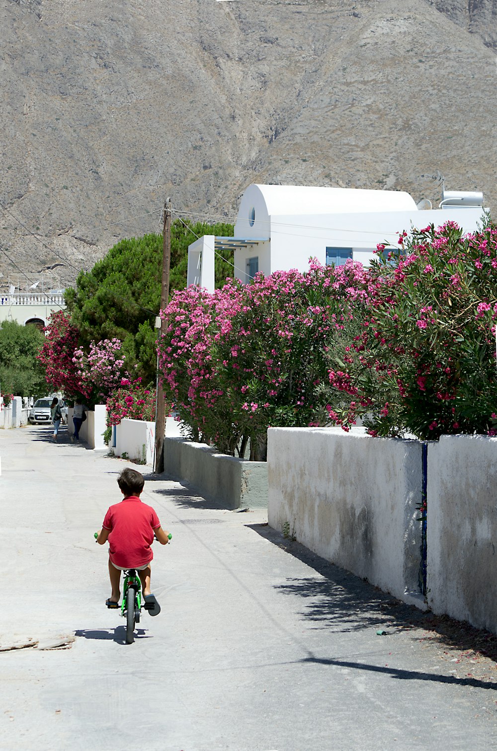 a child riding a bicycle