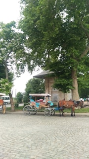 A horse-drawn carriage is parked on a cobblestone street under large, leafy trees. The carriage has a traditional design with red and blue accents and is harnessed to a brown horse. In the background, other carriages and a white van can be seen, alongside an old stone structure partially obscured by the trees.