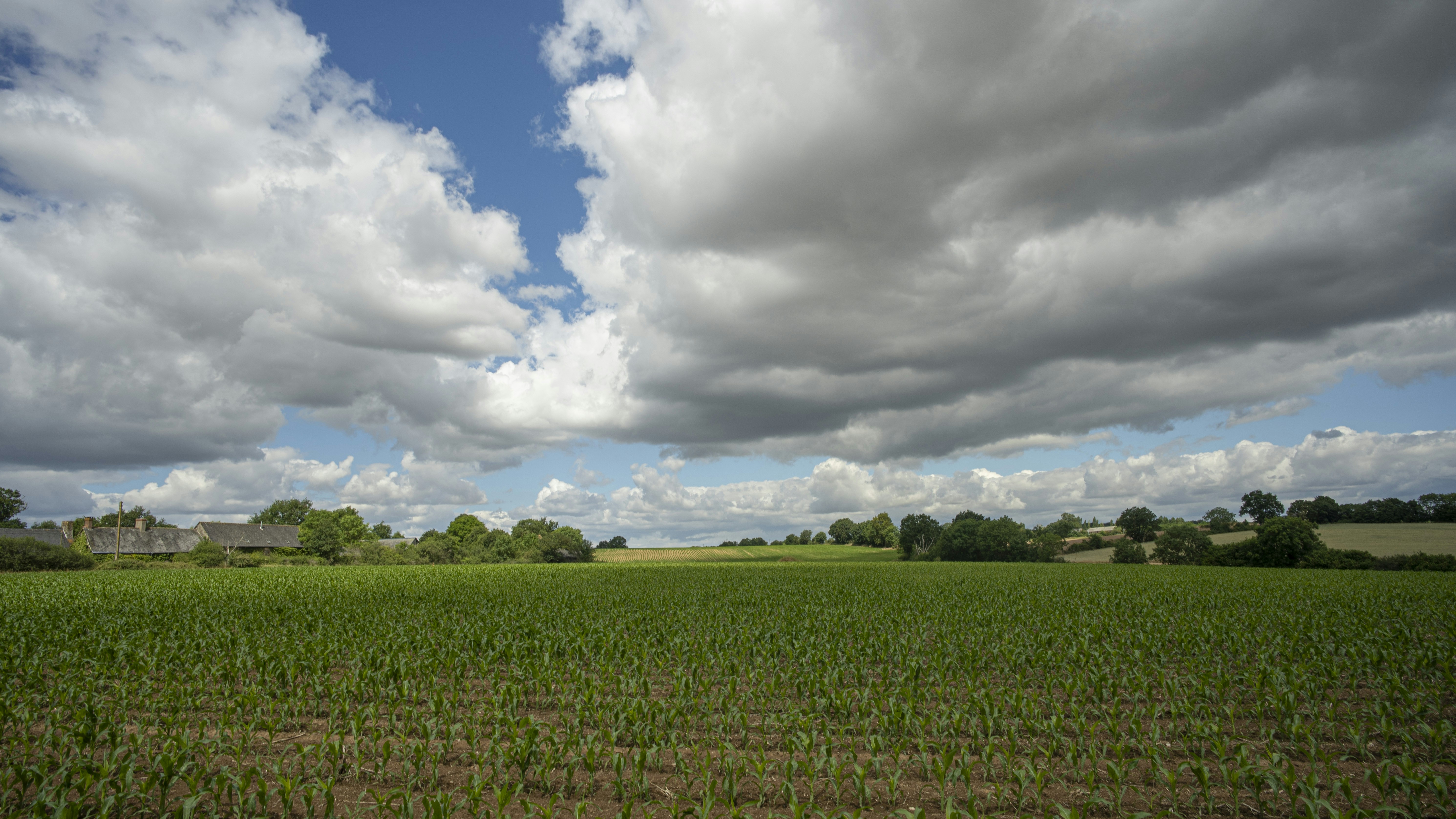 Agriculture landscape
