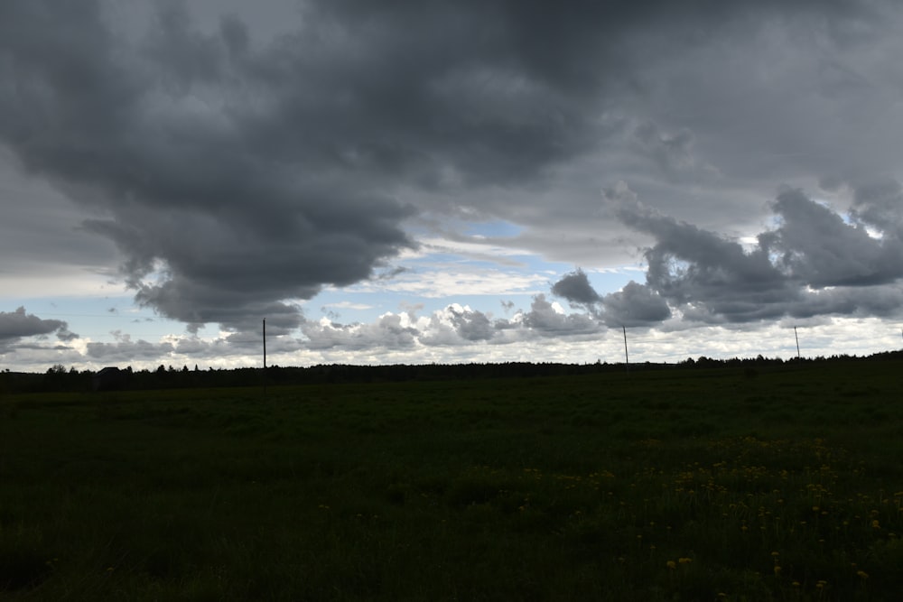 a field with a few wind turbines in the distance