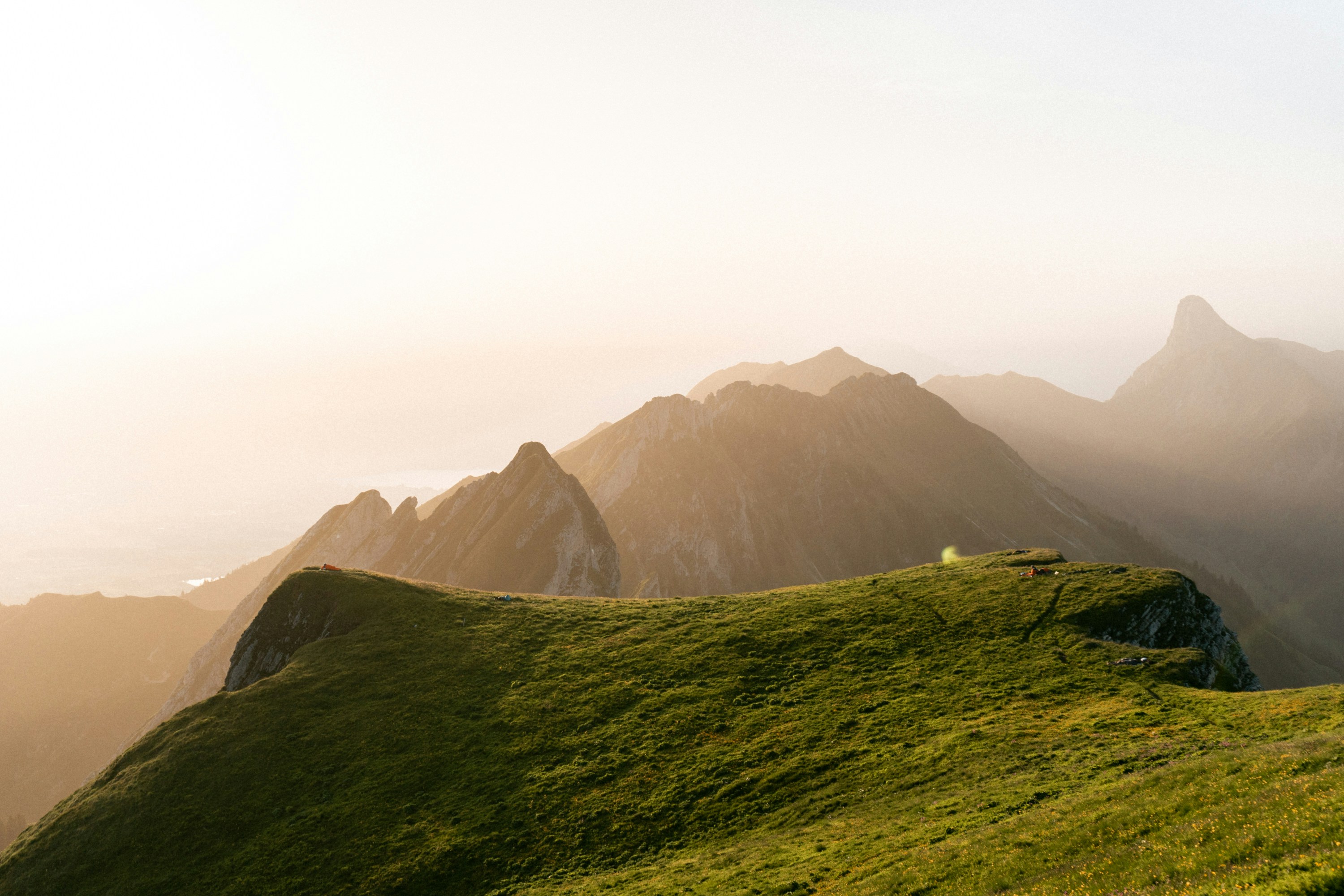 Photo by johannaschrag