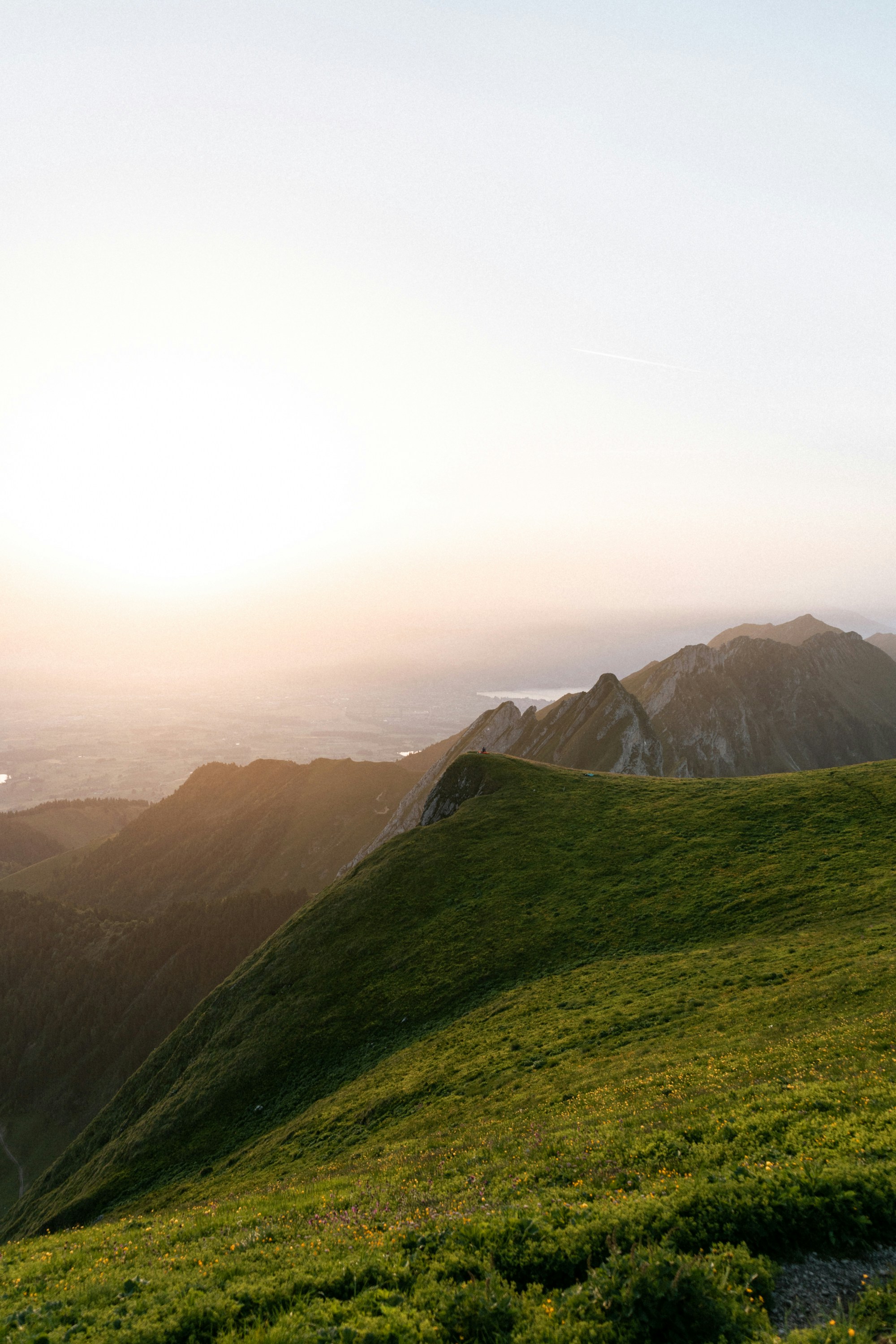 Photo by johannaschrag