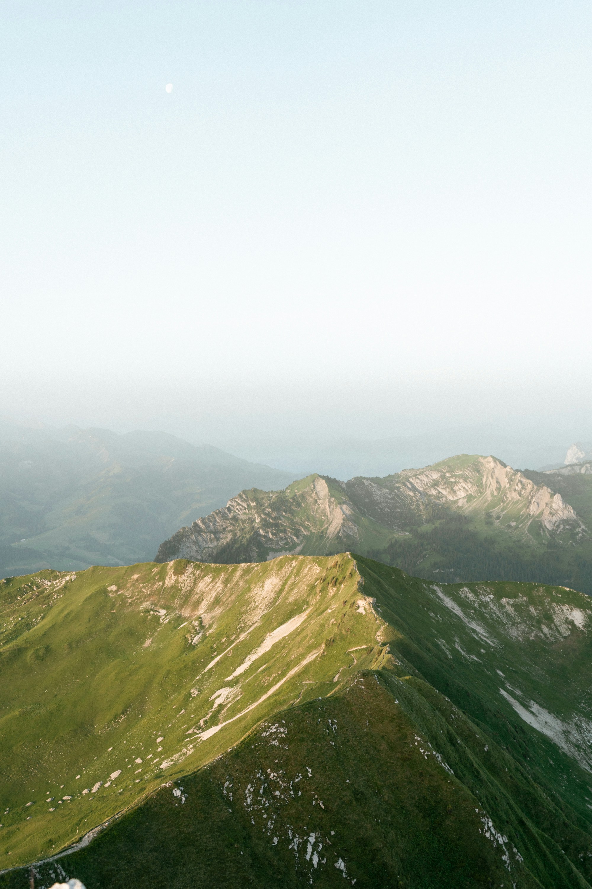 Photo by johannaschrag