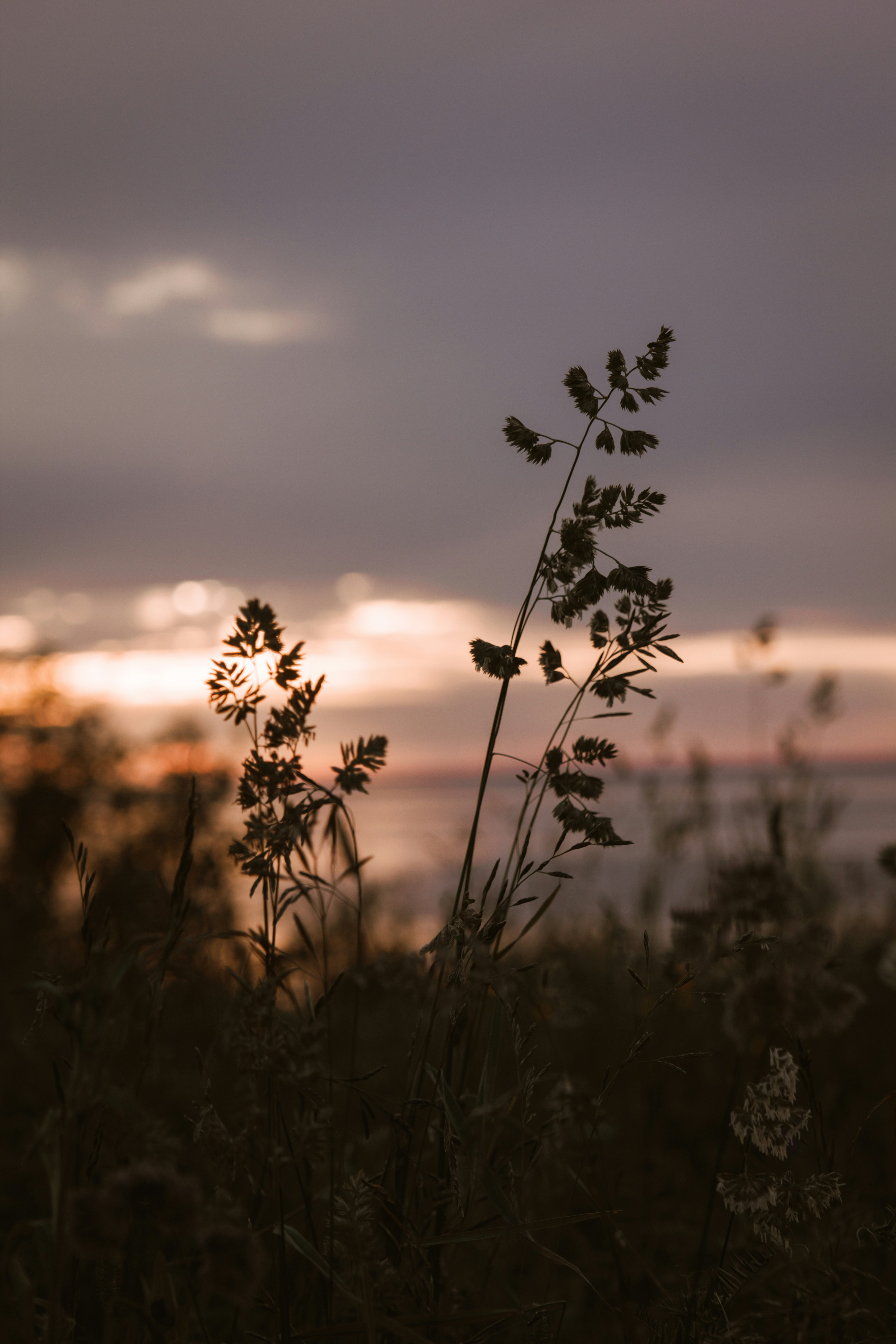 Photo by sam_badmaeva