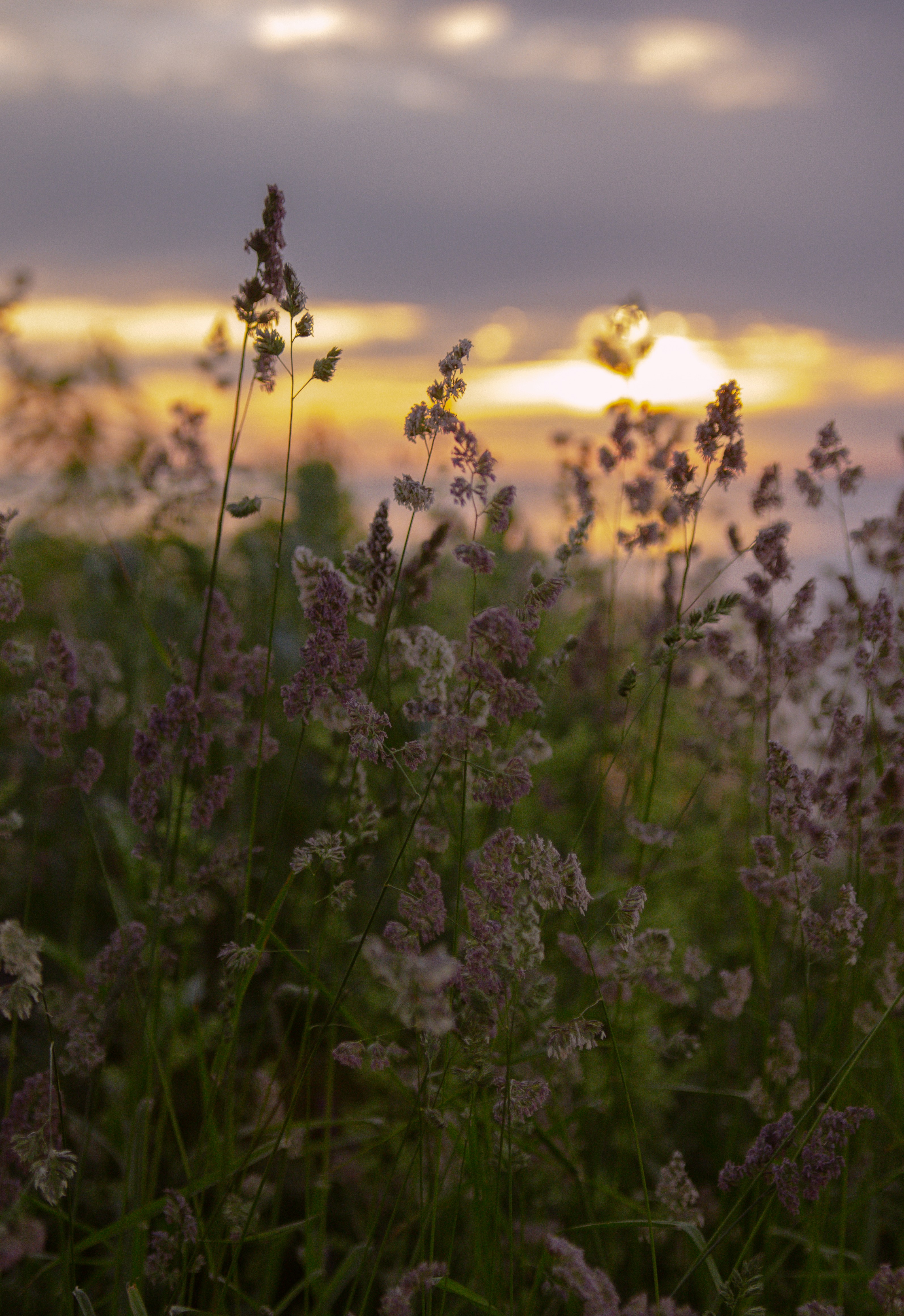 Photo by sam_badmaeva