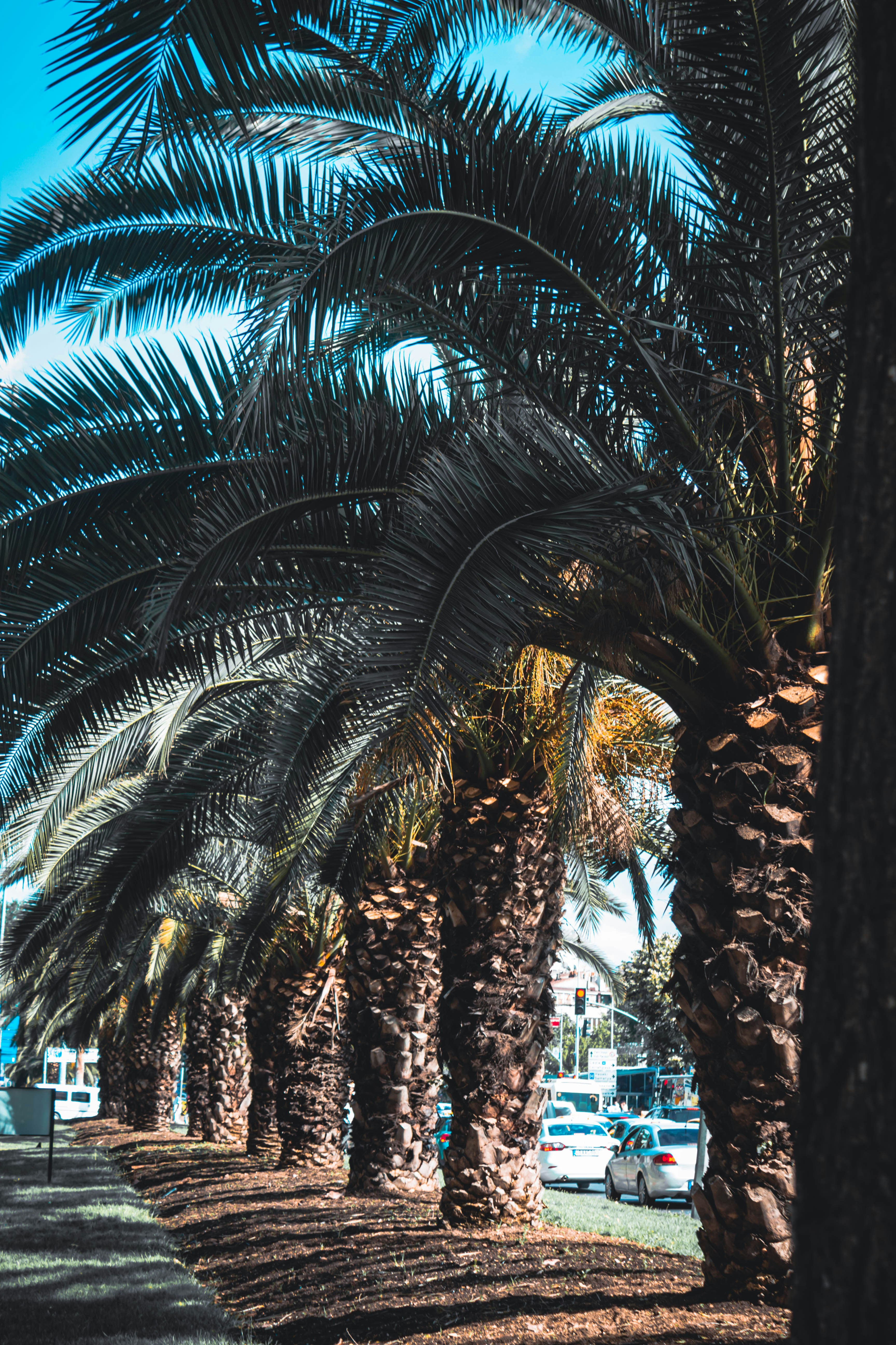 Photo by danaalhameed