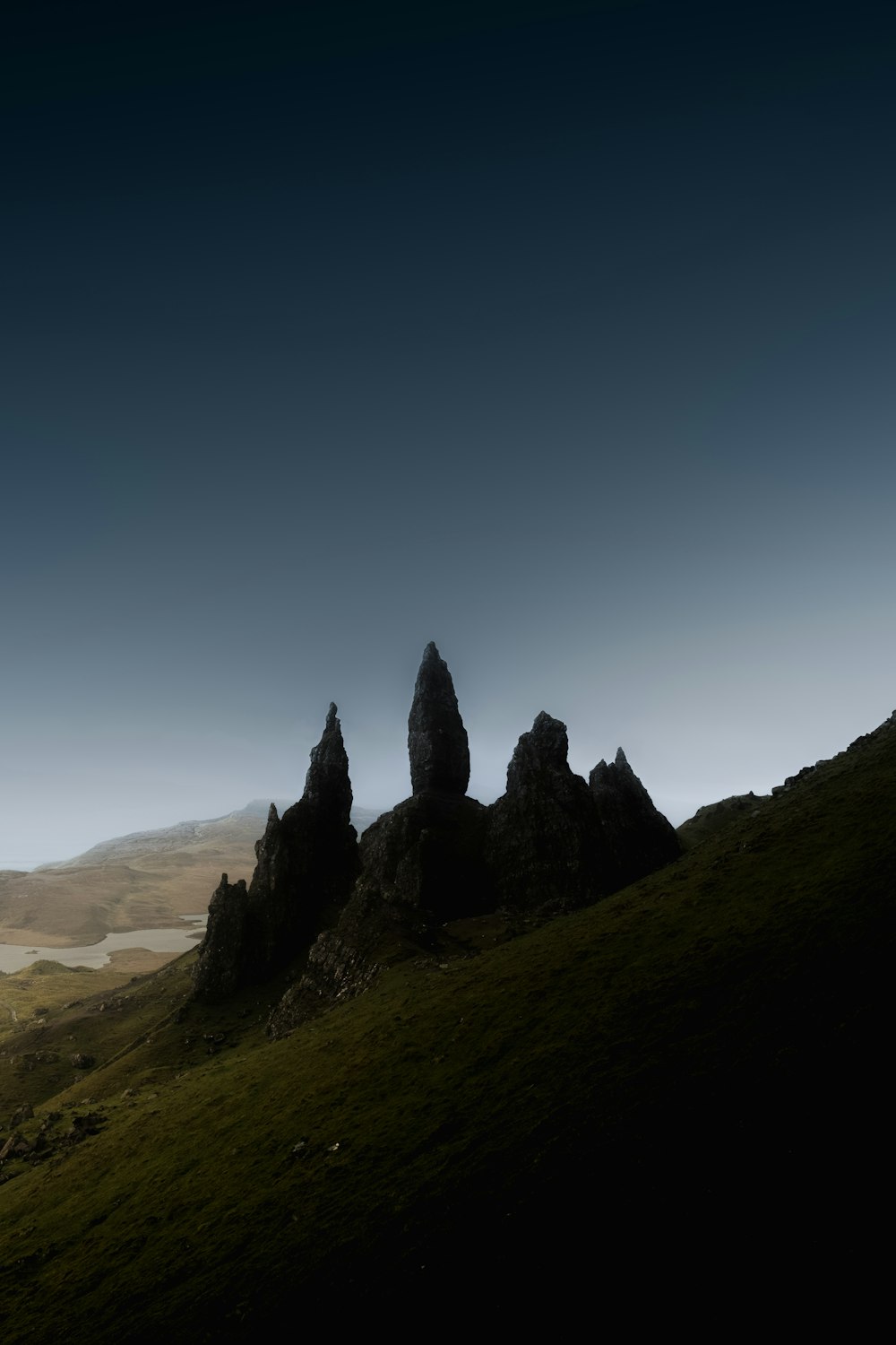 Un gruppo di alberi su una collina