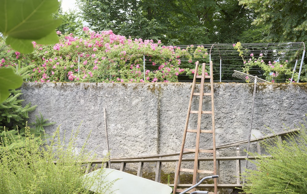 a close up of a garden