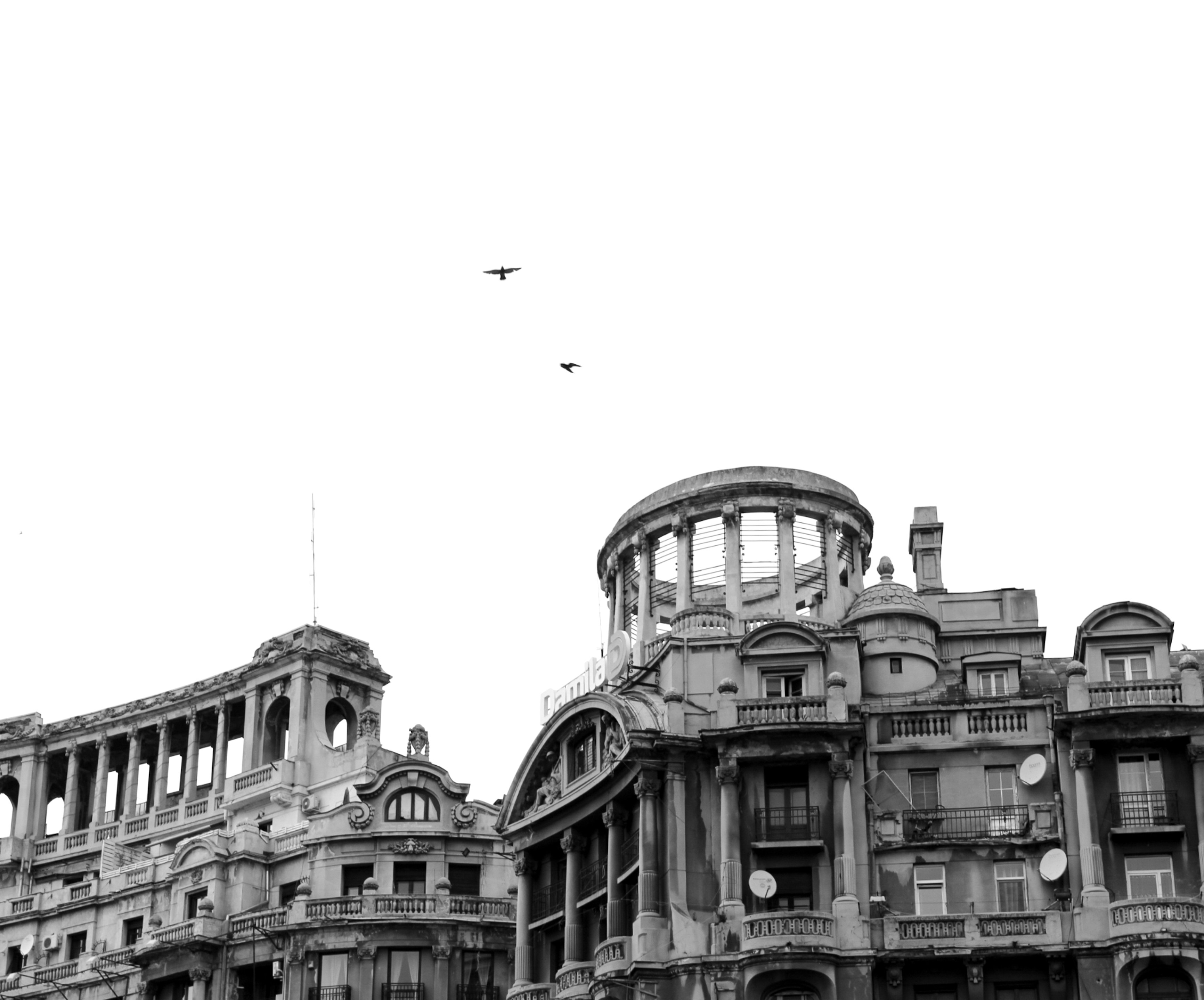 a bird flying over a building