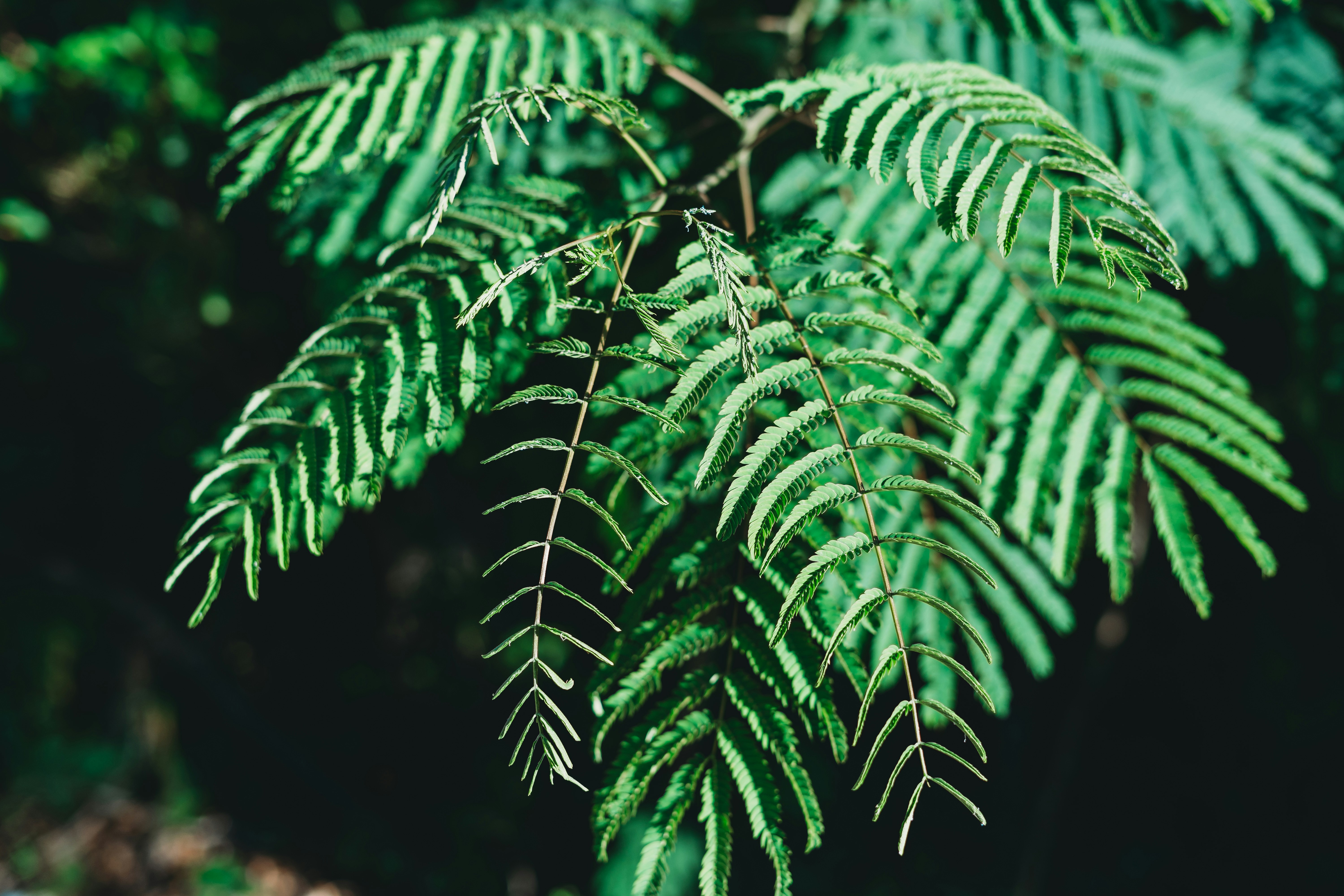 Photo by stevenvanelk