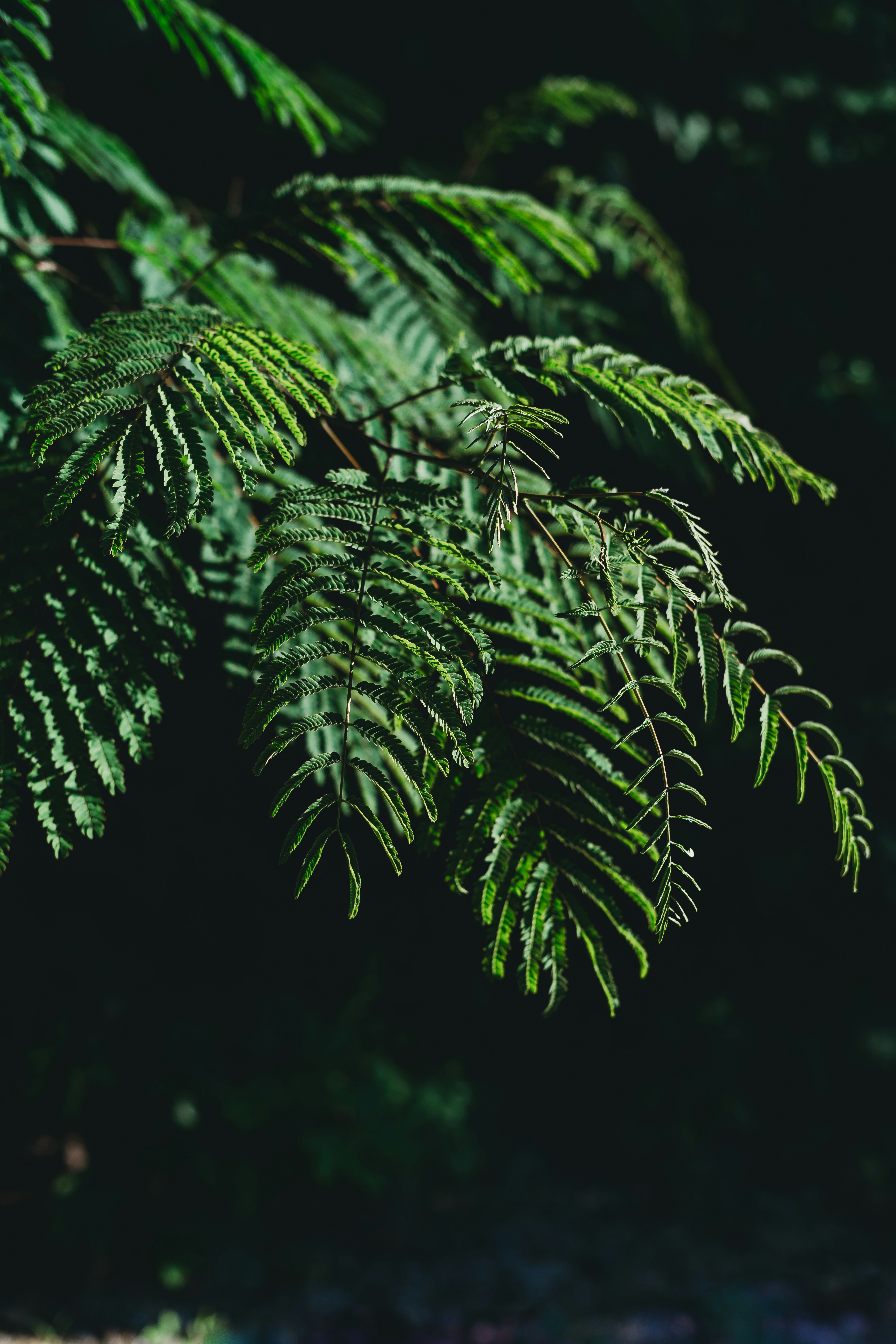 Photo by stevenvanelk