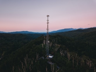 a tower in the middle of a forest