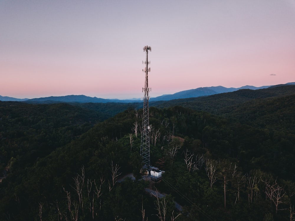 a tower in the middle of a forest