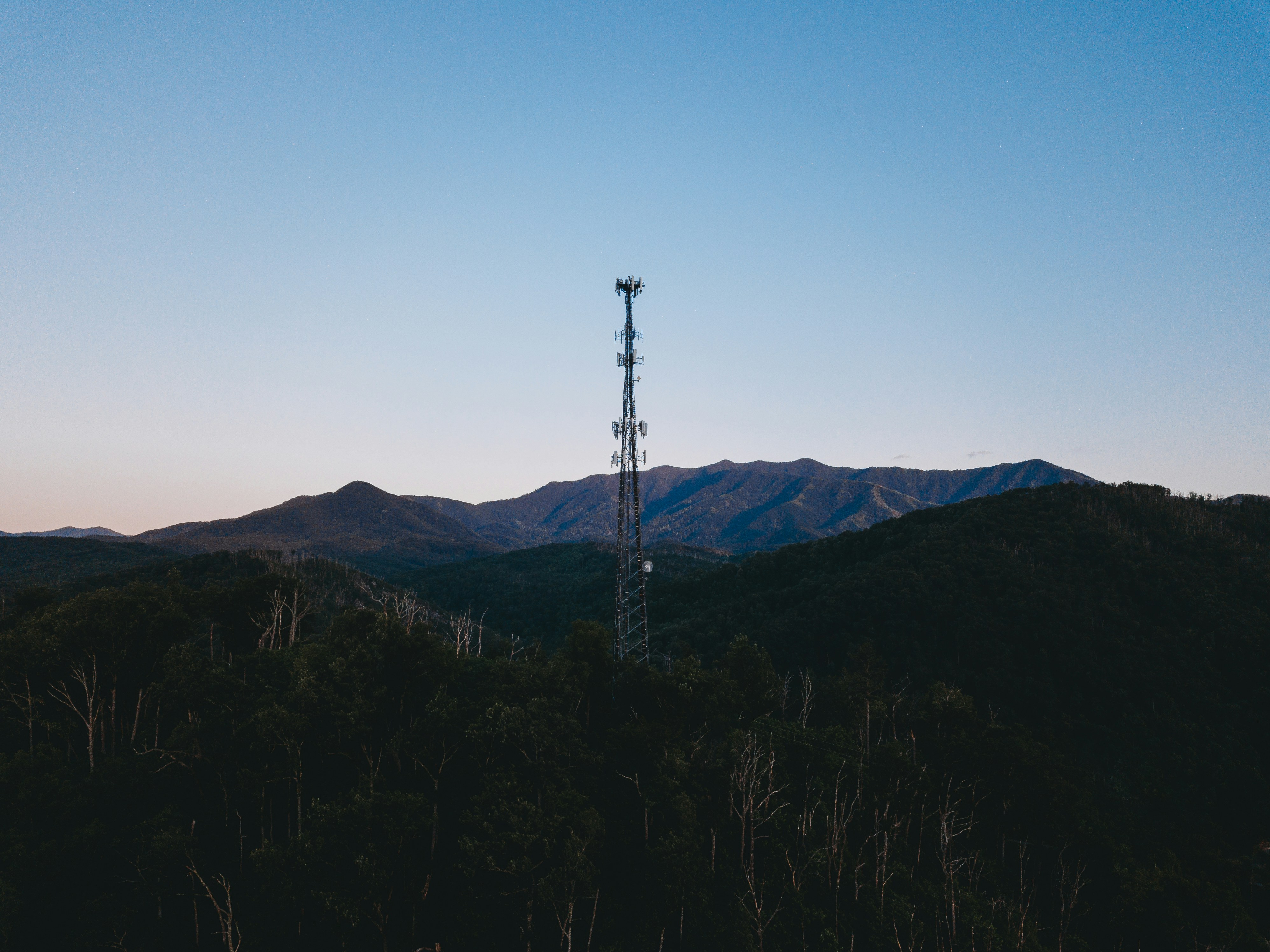 Photo by stevenvanelk