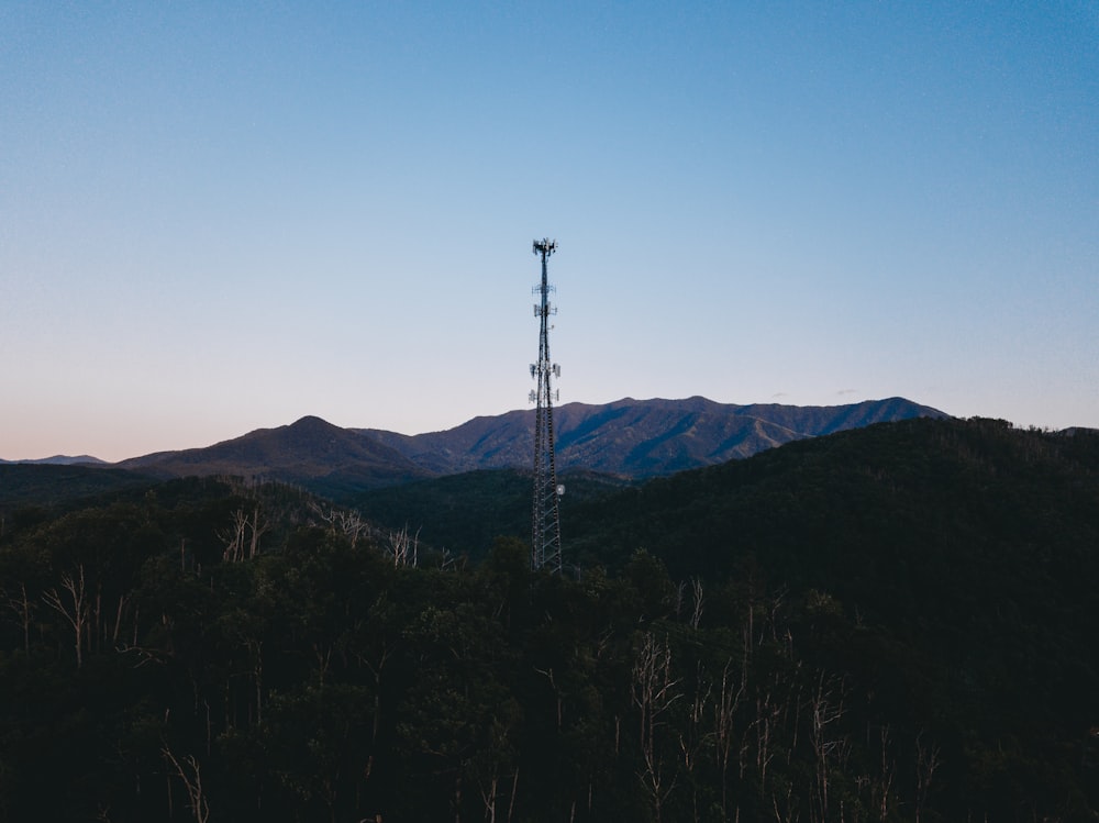 a tall antenna in the middle of a forest