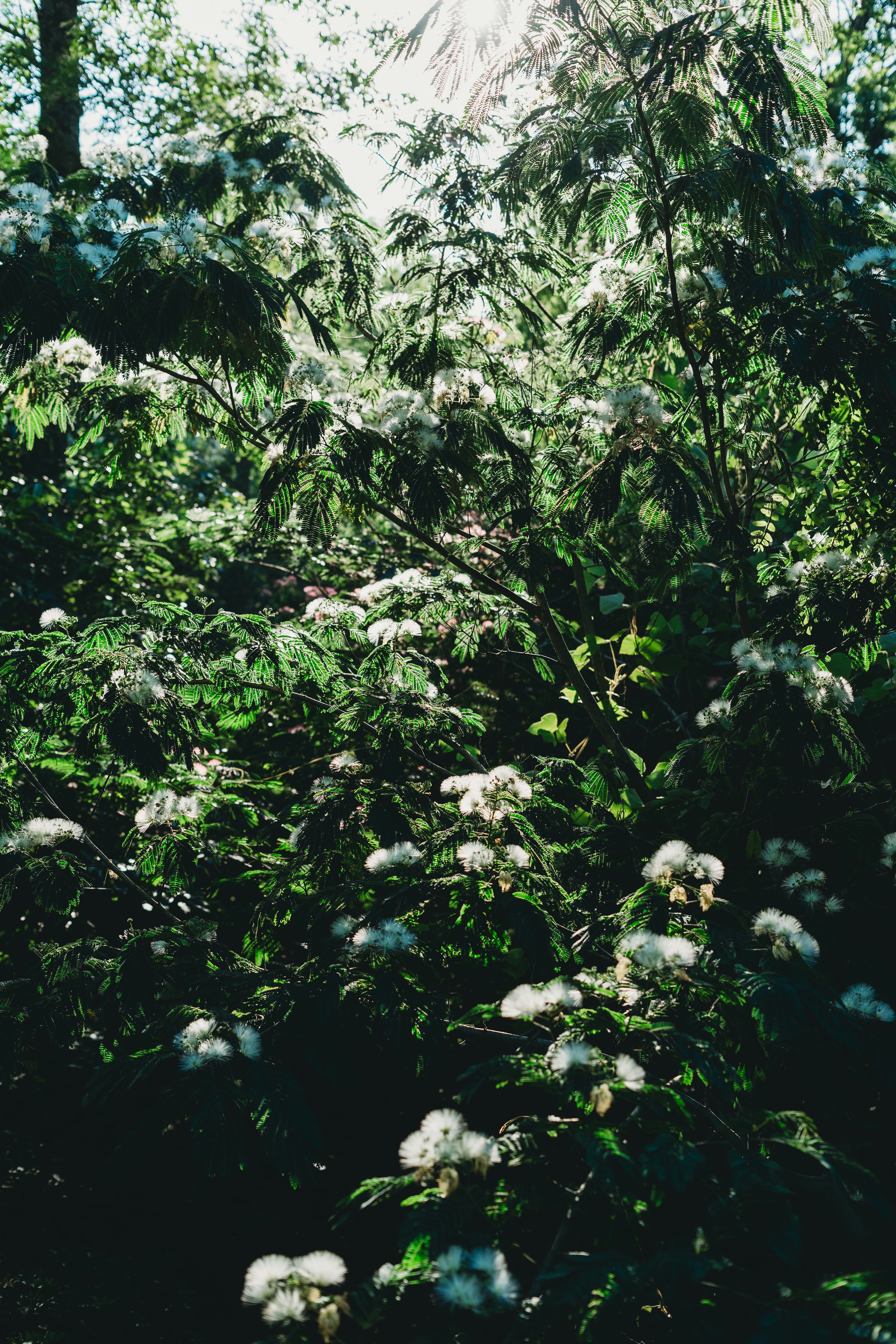 Photo by stevenvanelk