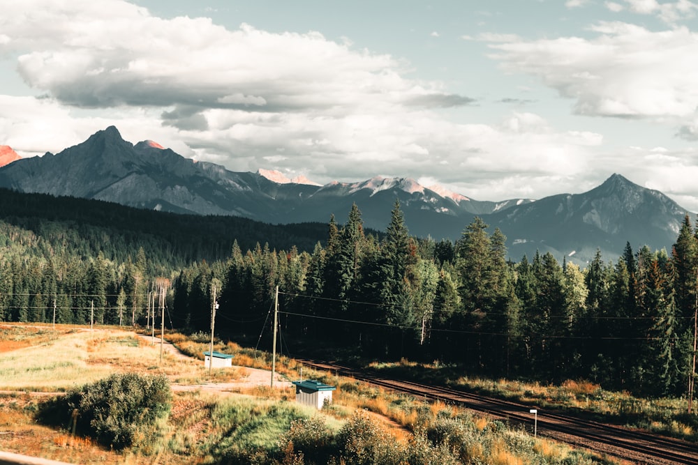 train tracks with trees and mountains in the background