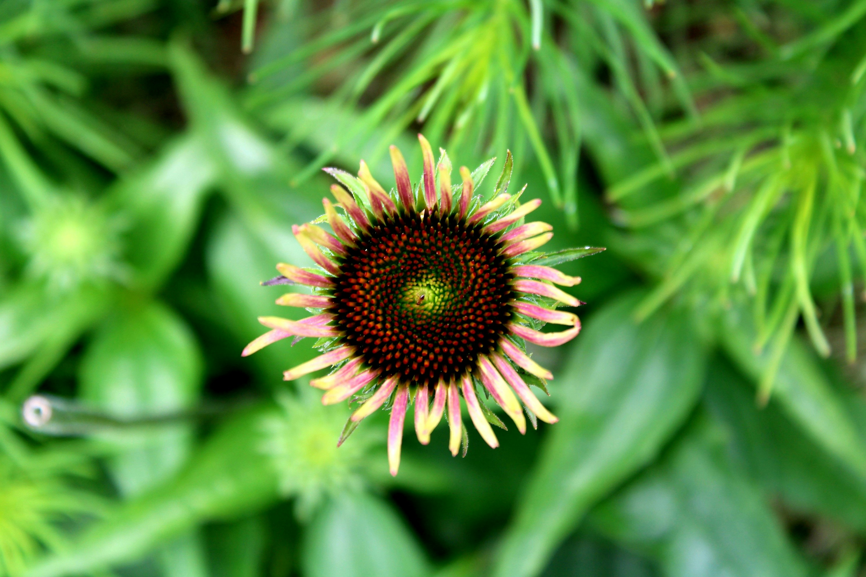 Photo by sadiecoulter