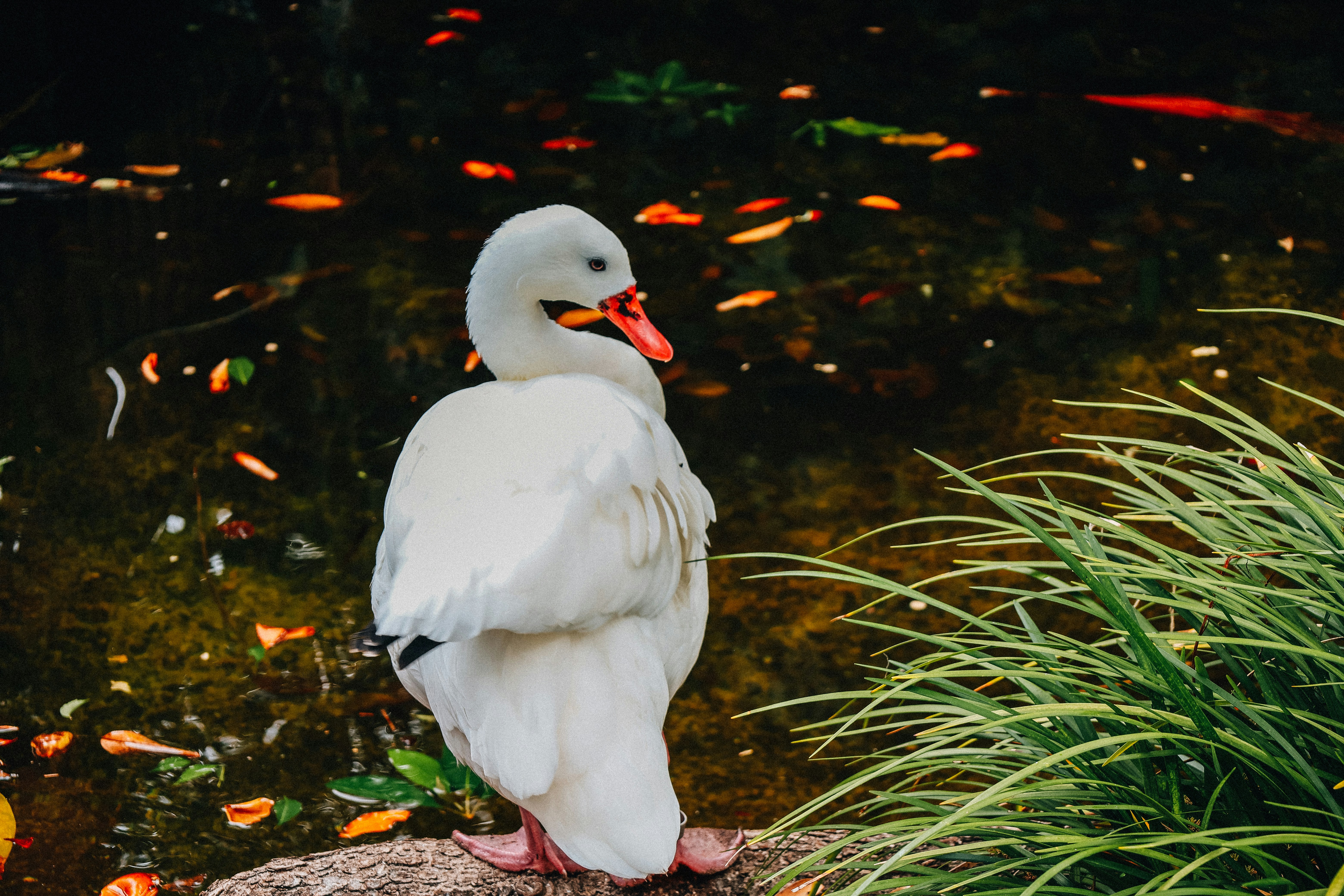 Photo by therealmoeez