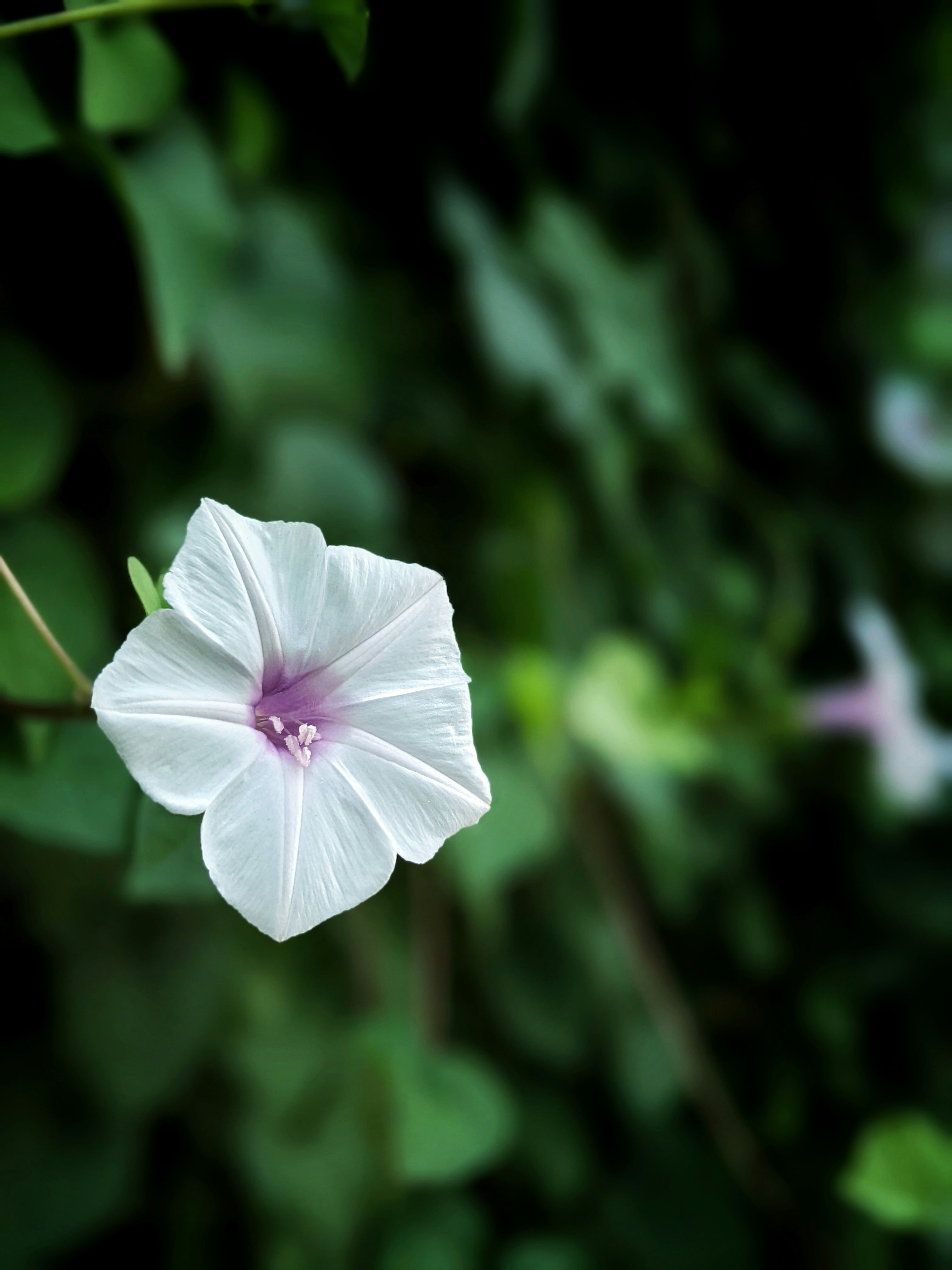 Photo by wosabian