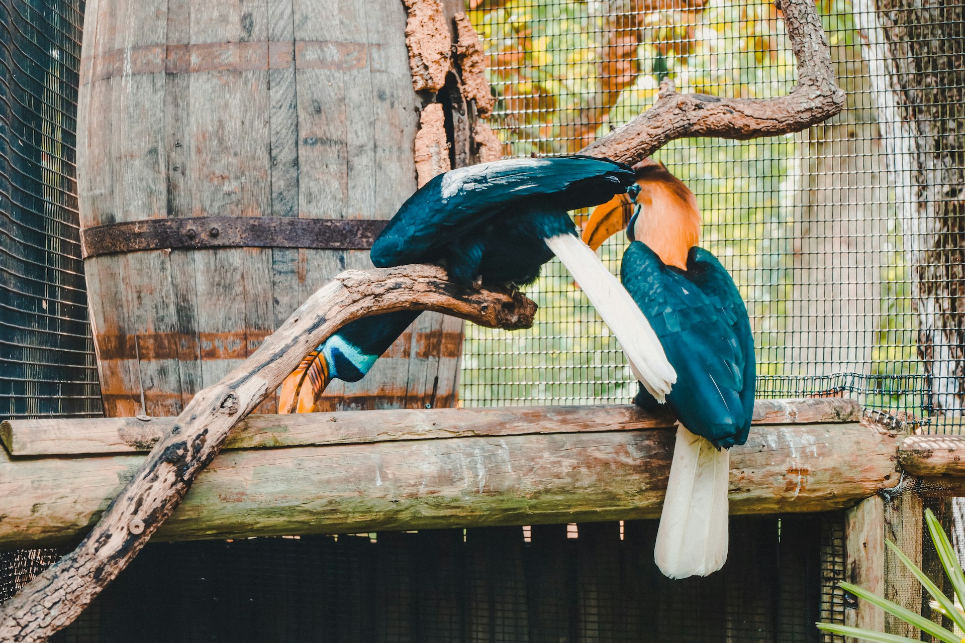 gray computer monitor