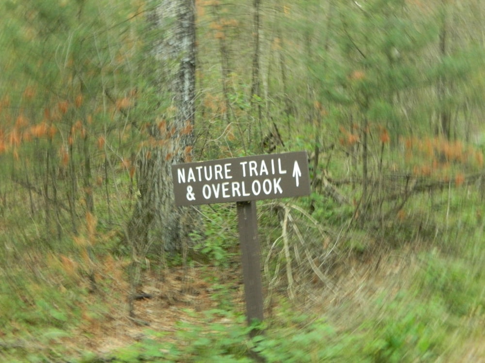 a sign in the woods