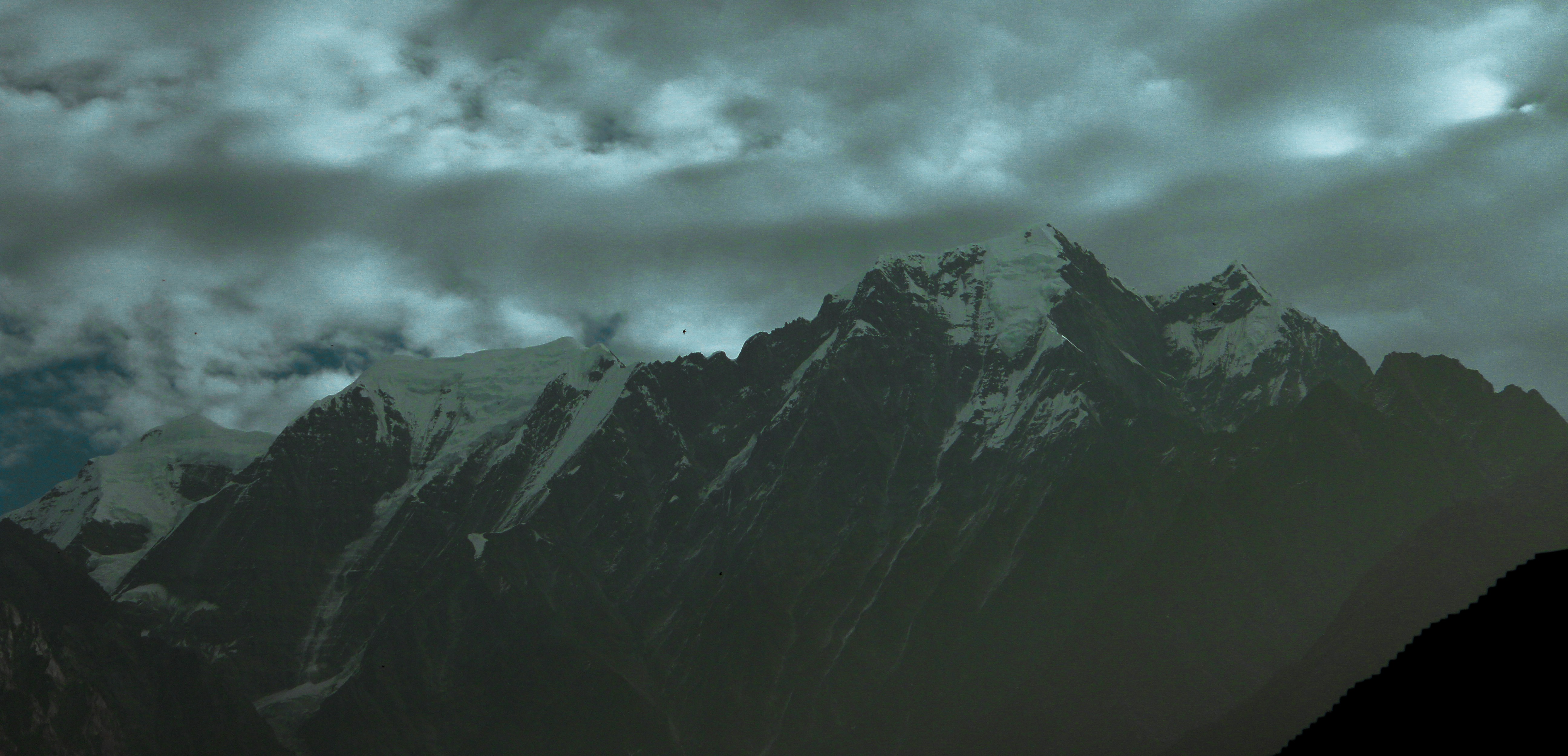 Photo by d3dz_photography