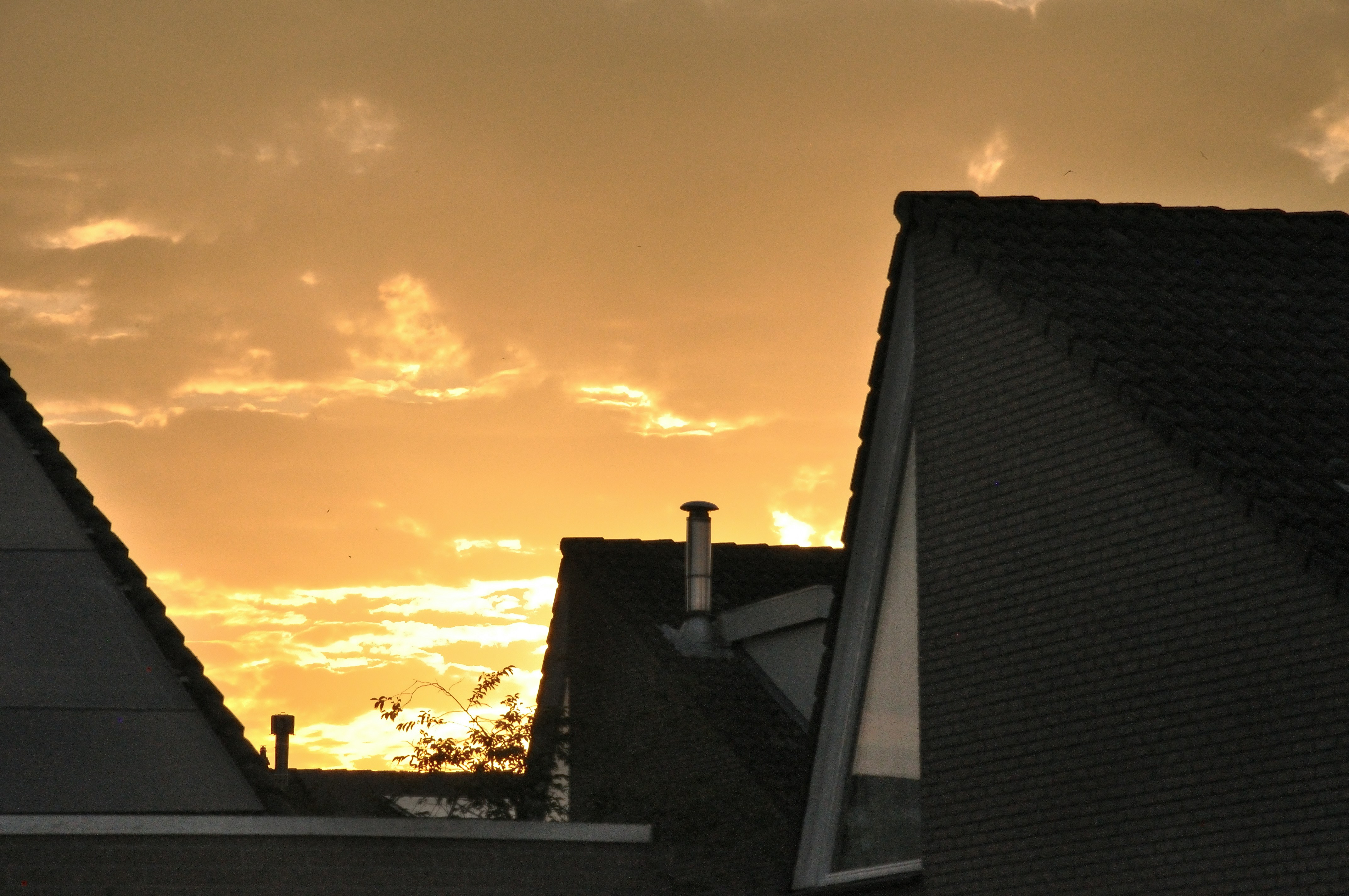 Photo by frankoosterbaan