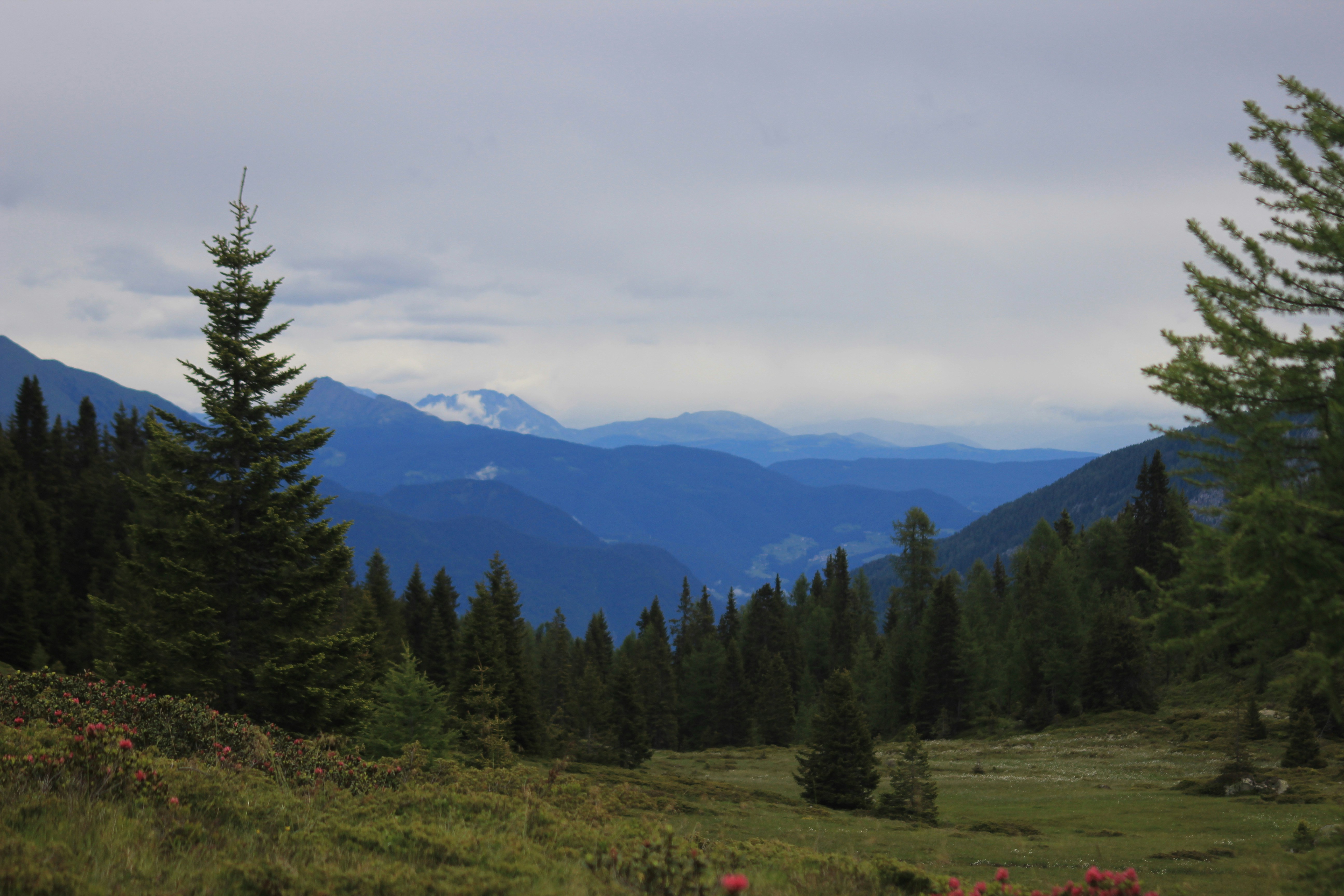 Photo by mattia_poli_04