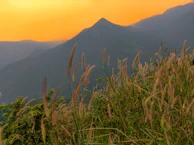 Sunset view from a gentle hilltop trail near Chandra Cilas Home Stay.