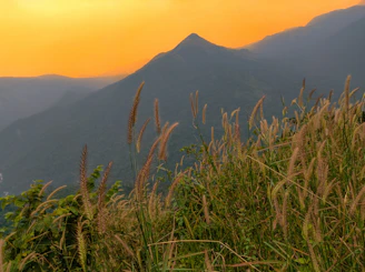 Sunset view from a gentle hilltop trail near Chandra Cilas Home Stay.