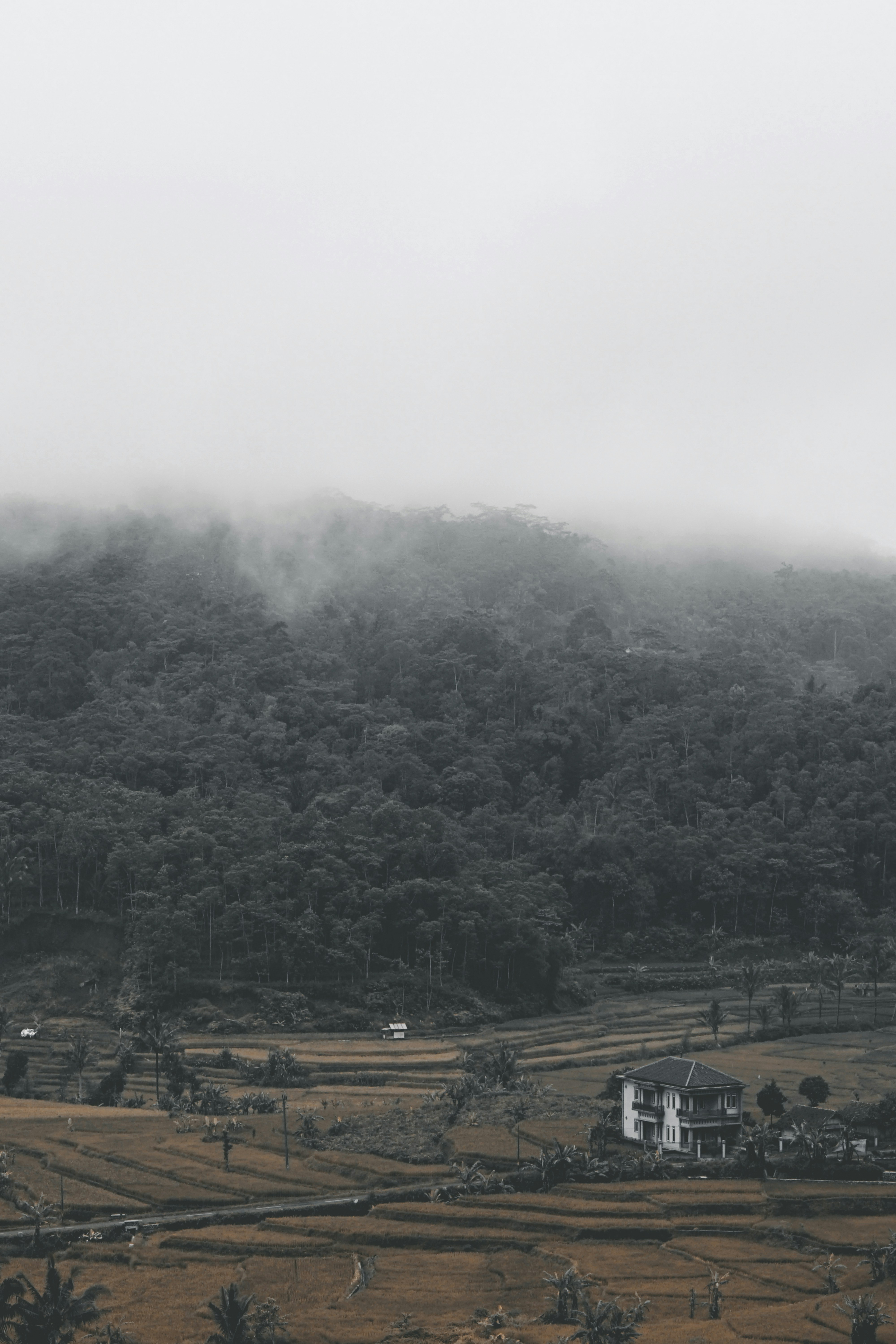 Photo by yusuprachman