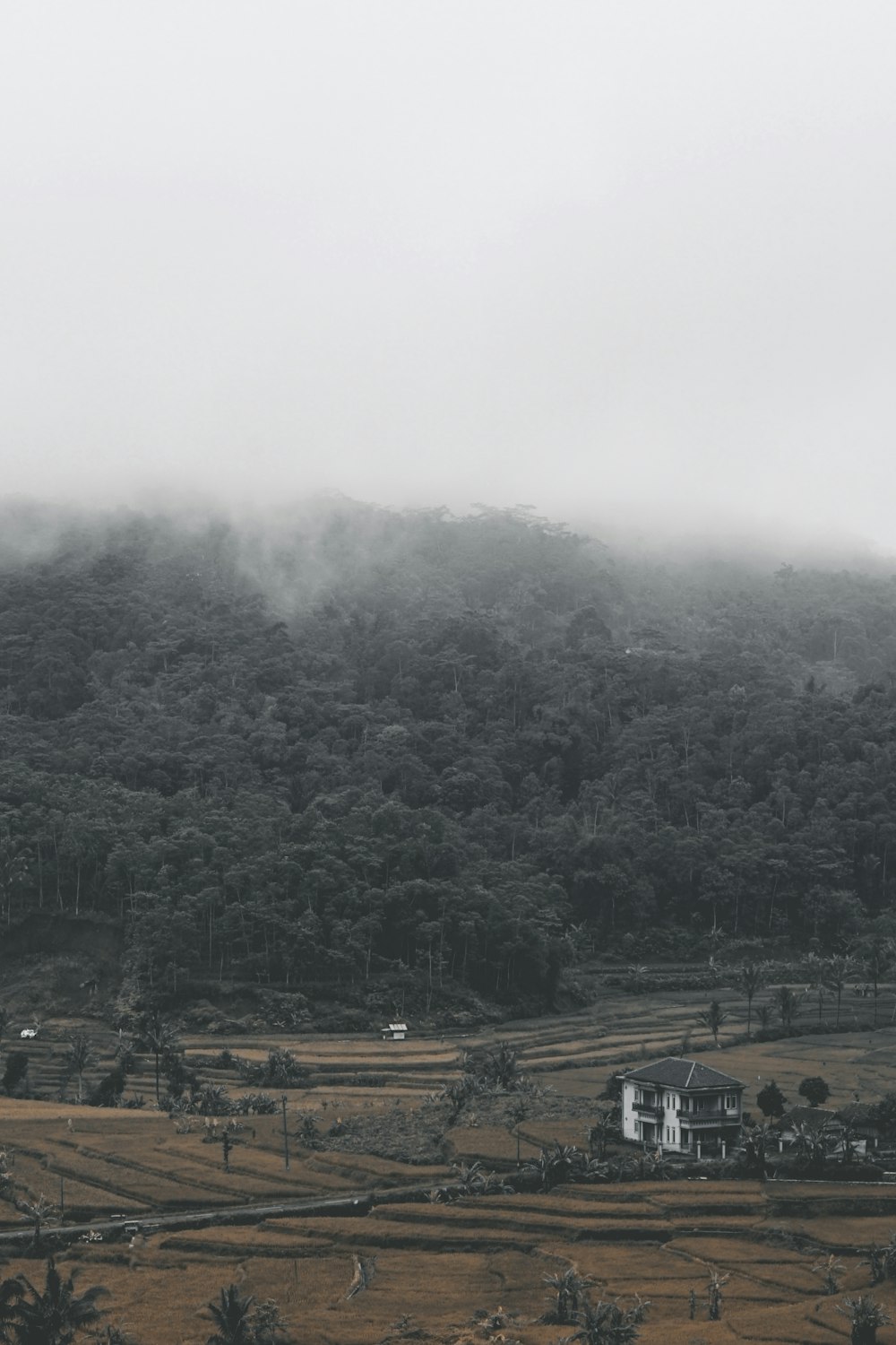 uma casa em uma área arborizada